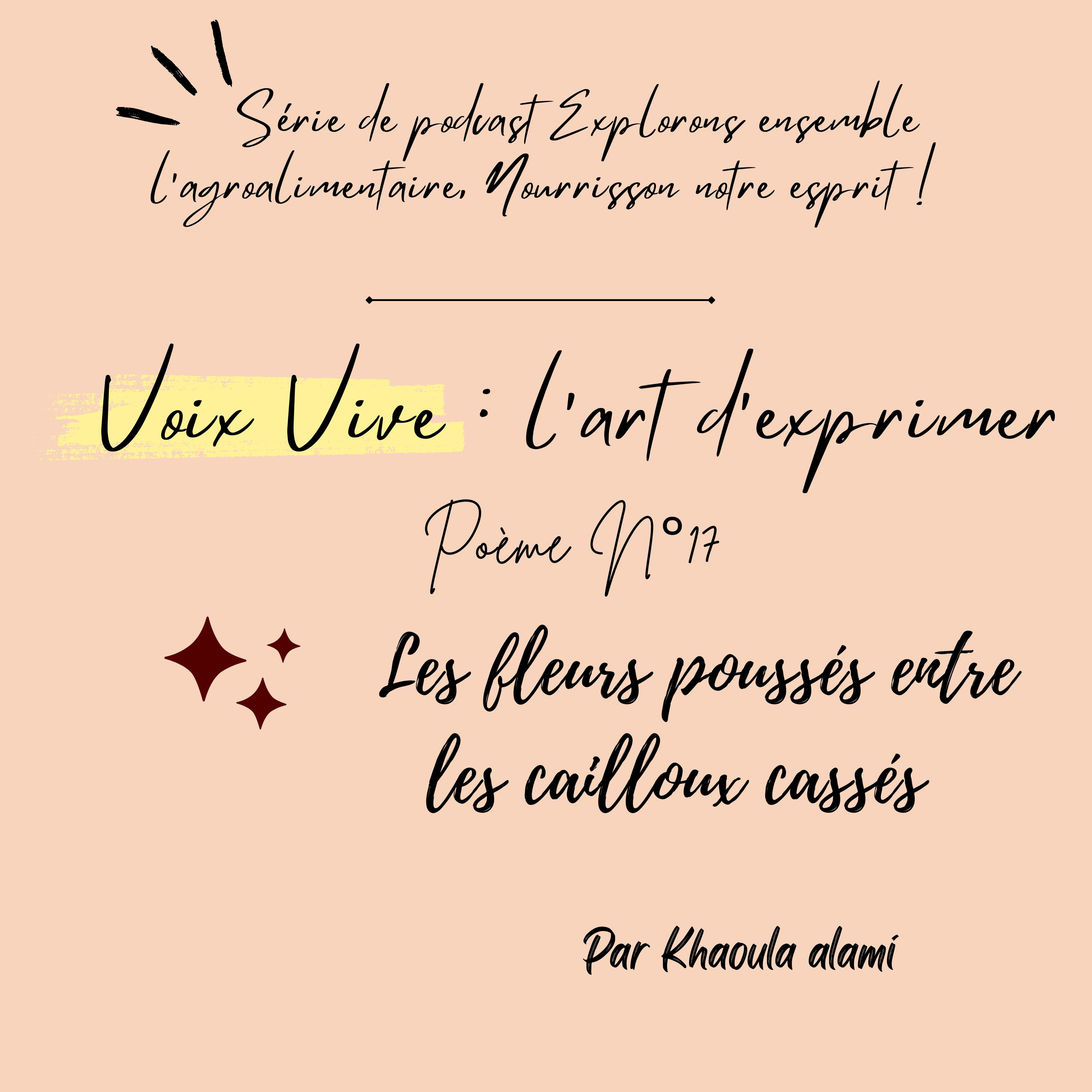 Poème N°17 : Les fleurs poussés entre les cailloux cassés  episode artwork