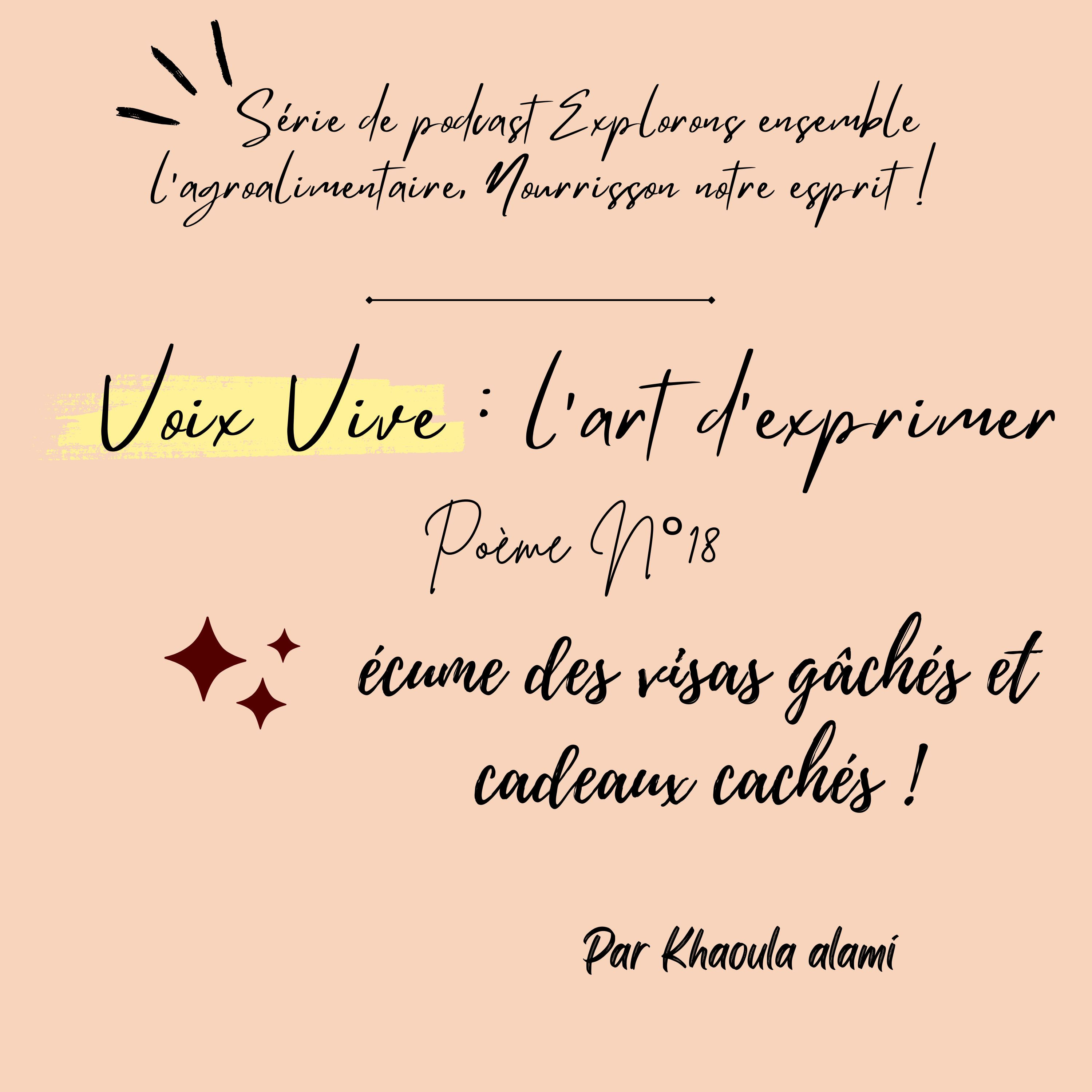 Poème 18 : écume des visas gâchés et cadeaux cachés ! episode artwork