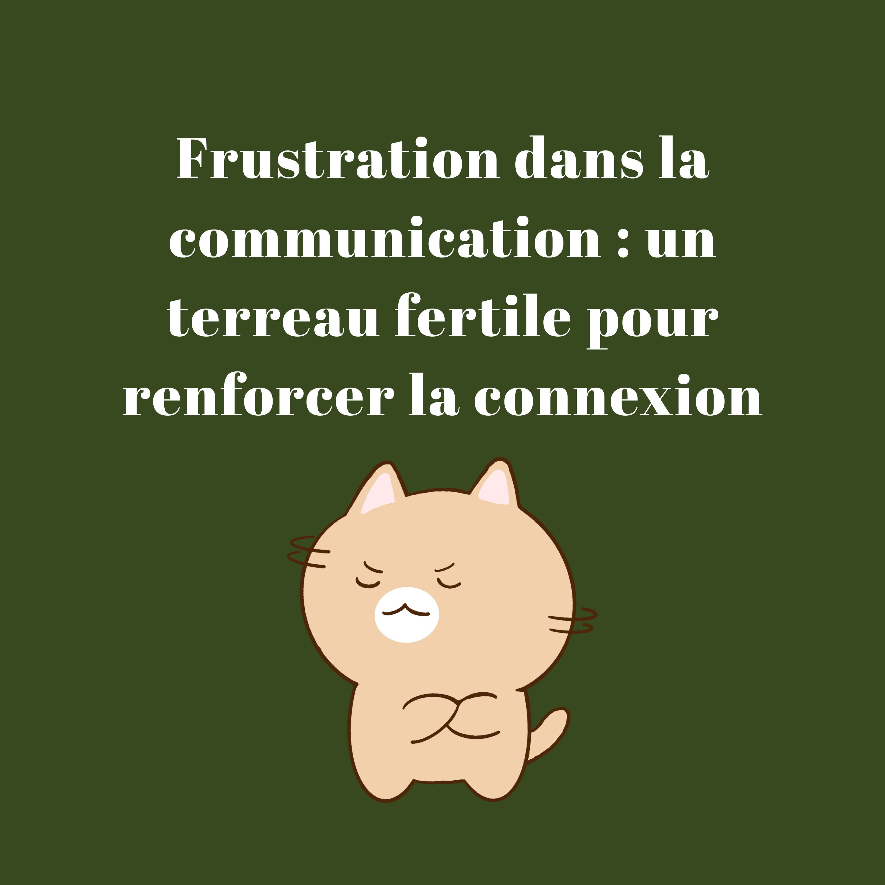 Frustration dans la communication : un terreau fertile pour renforcer la connexion episode artwork