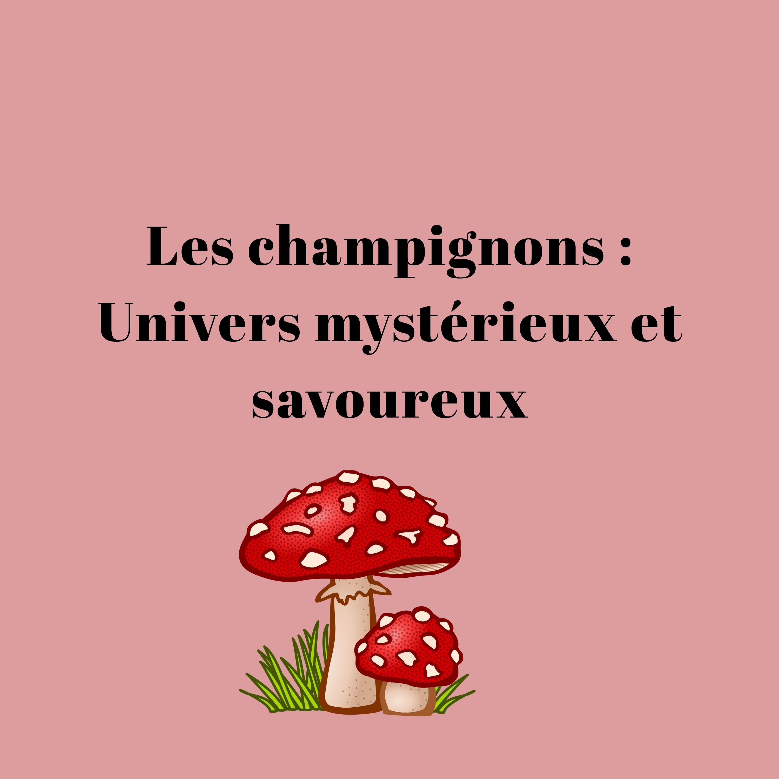Les champignons : Univers mystérieux et savoureux episode artwork