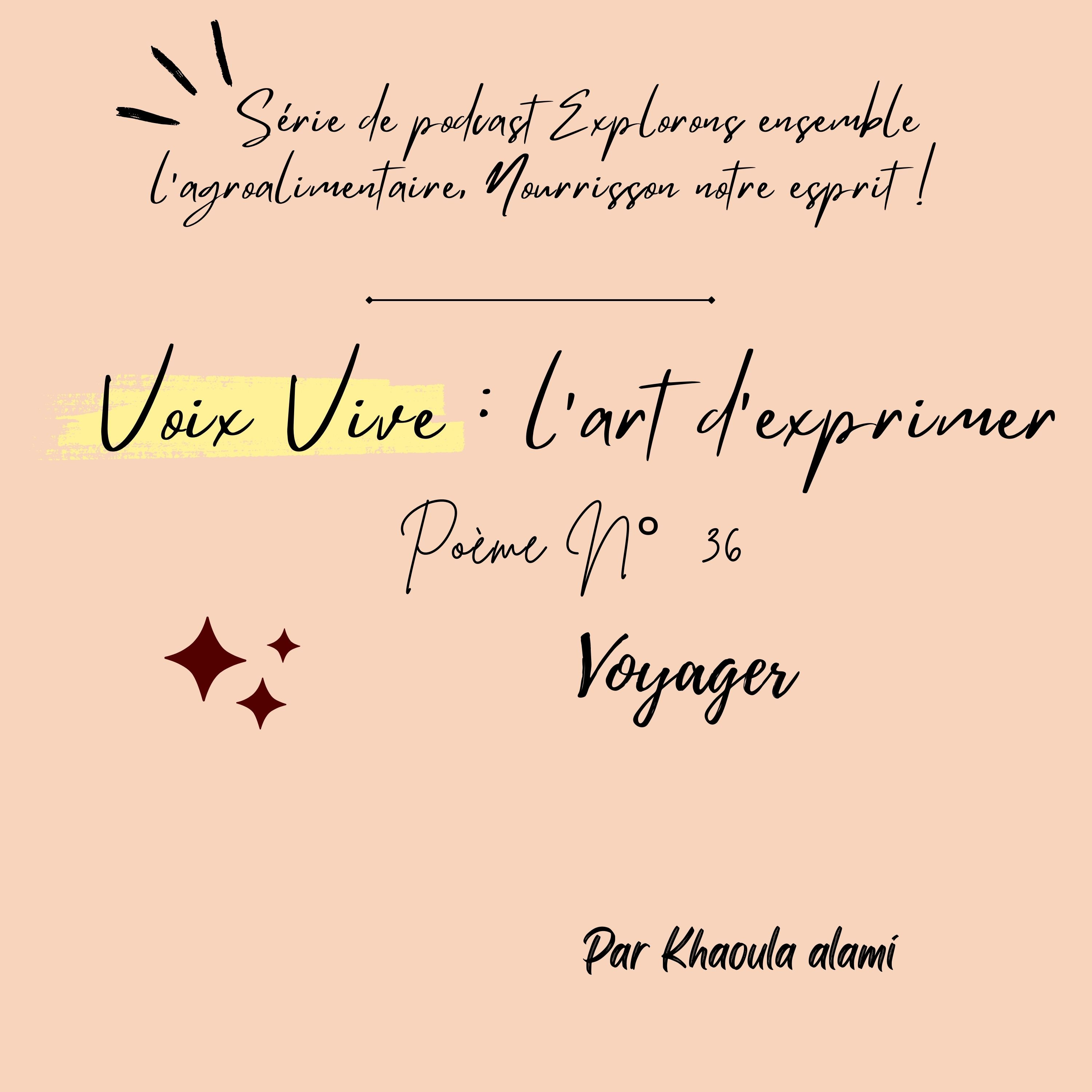 Poème n°36 : Voyager episode artwork
