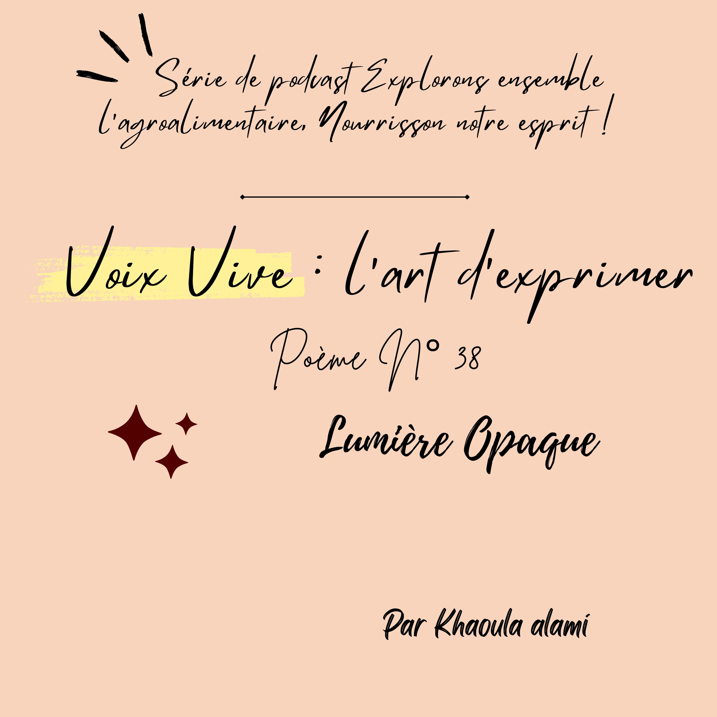 Poème N°38 : Lumière Opaque