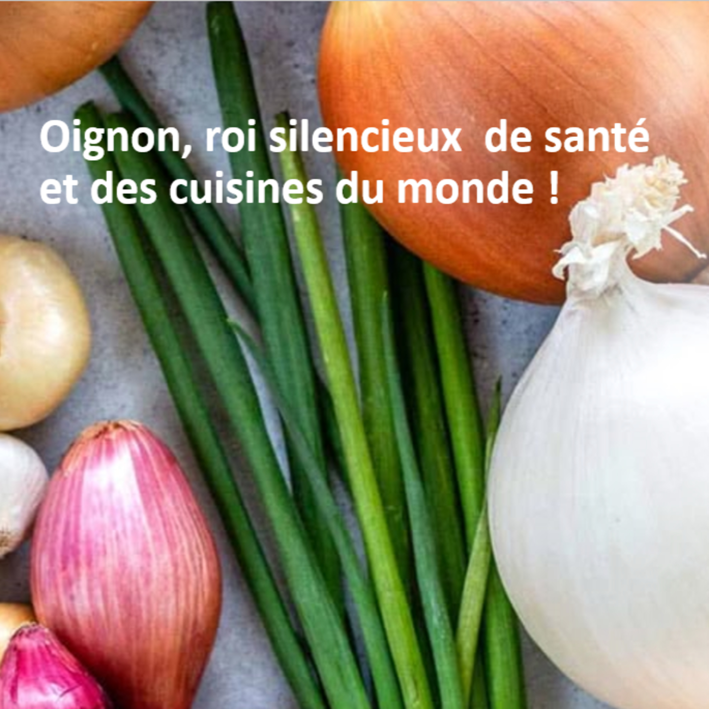 Oignon, roi silencieux de santé et des cuisines du monde !  episode artwork