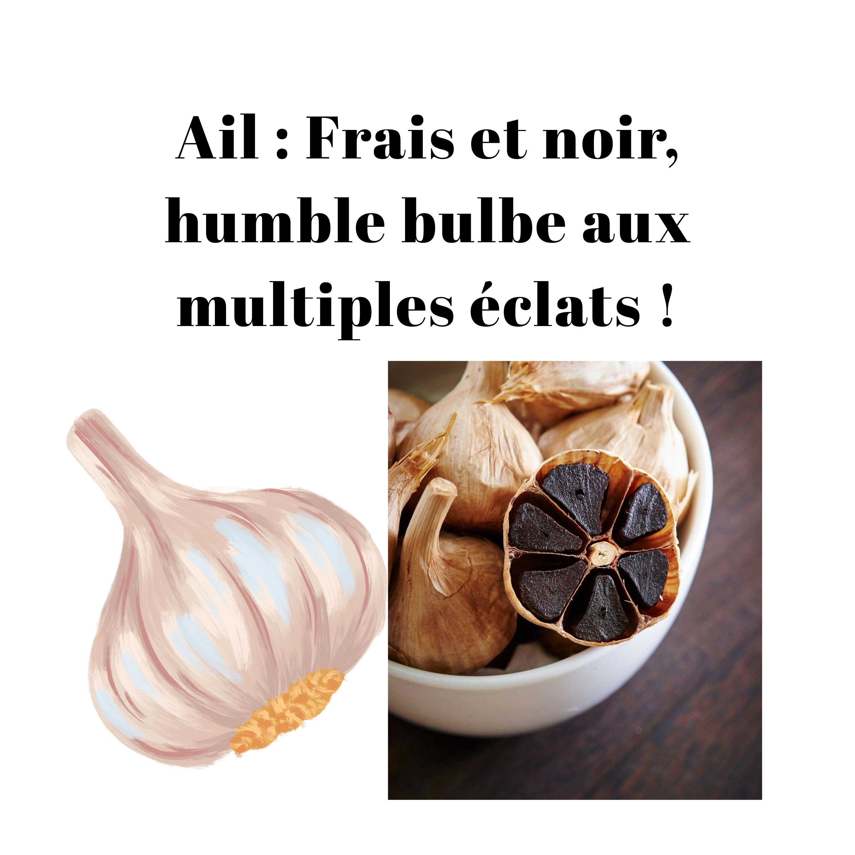 Ail : Frais et noir, humble bulbe aux multiples éclats ! episode artwork
