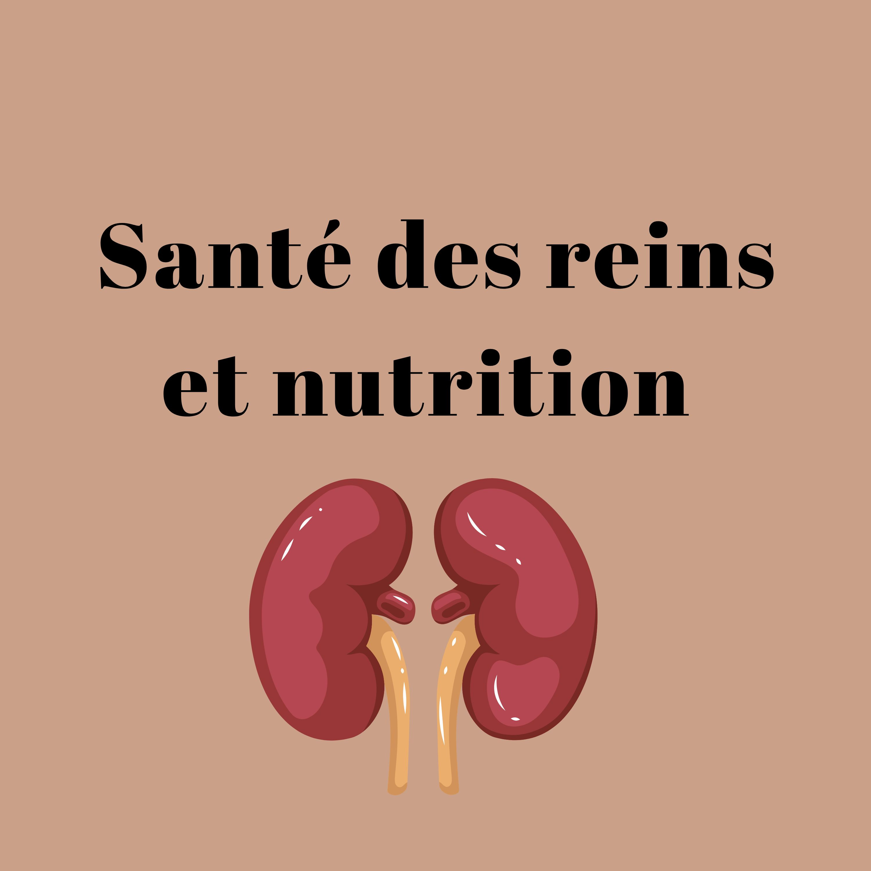 Santé des reins et nutrition  episode artwork