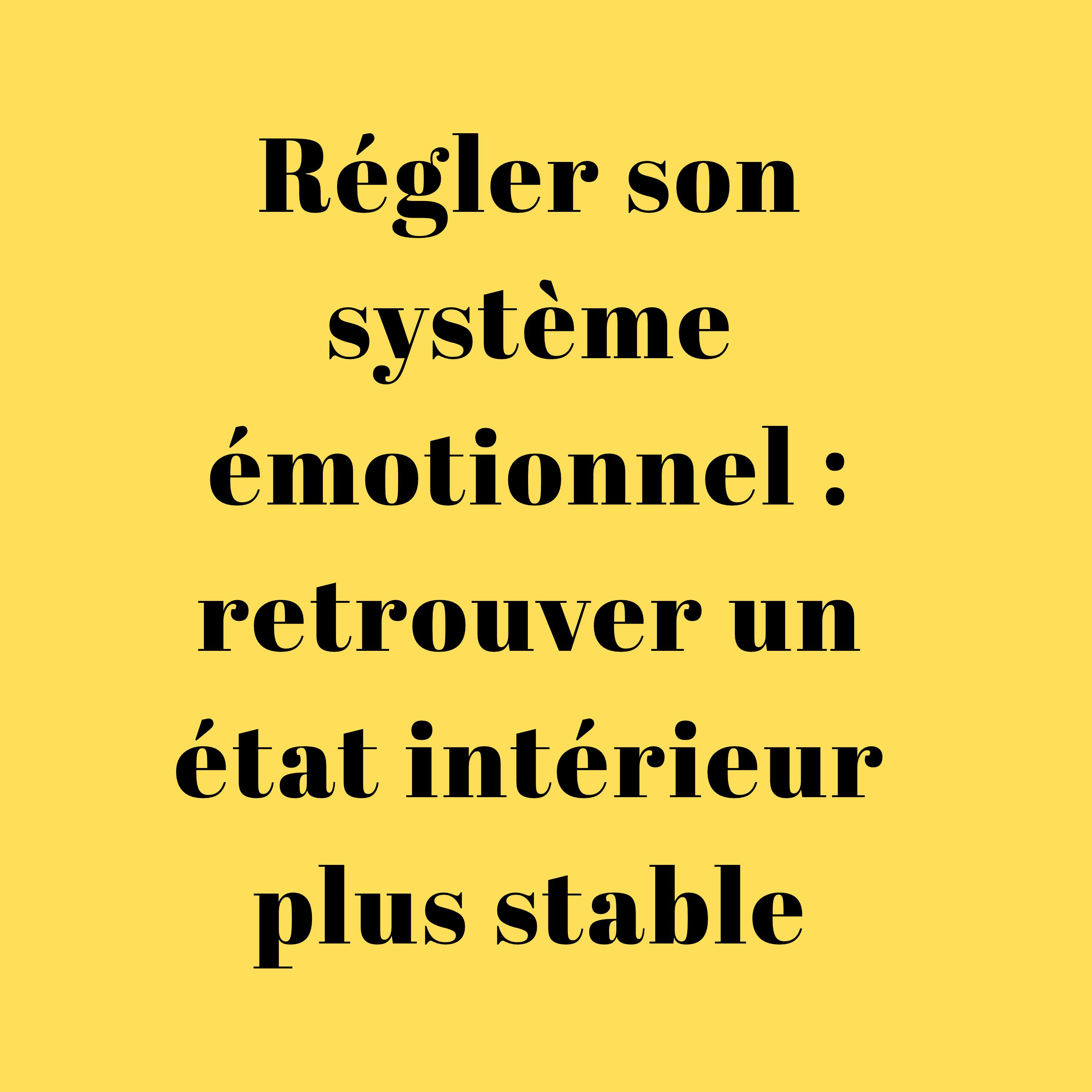 Régler son système émotionnel : retrouver un état intérieur plus stable