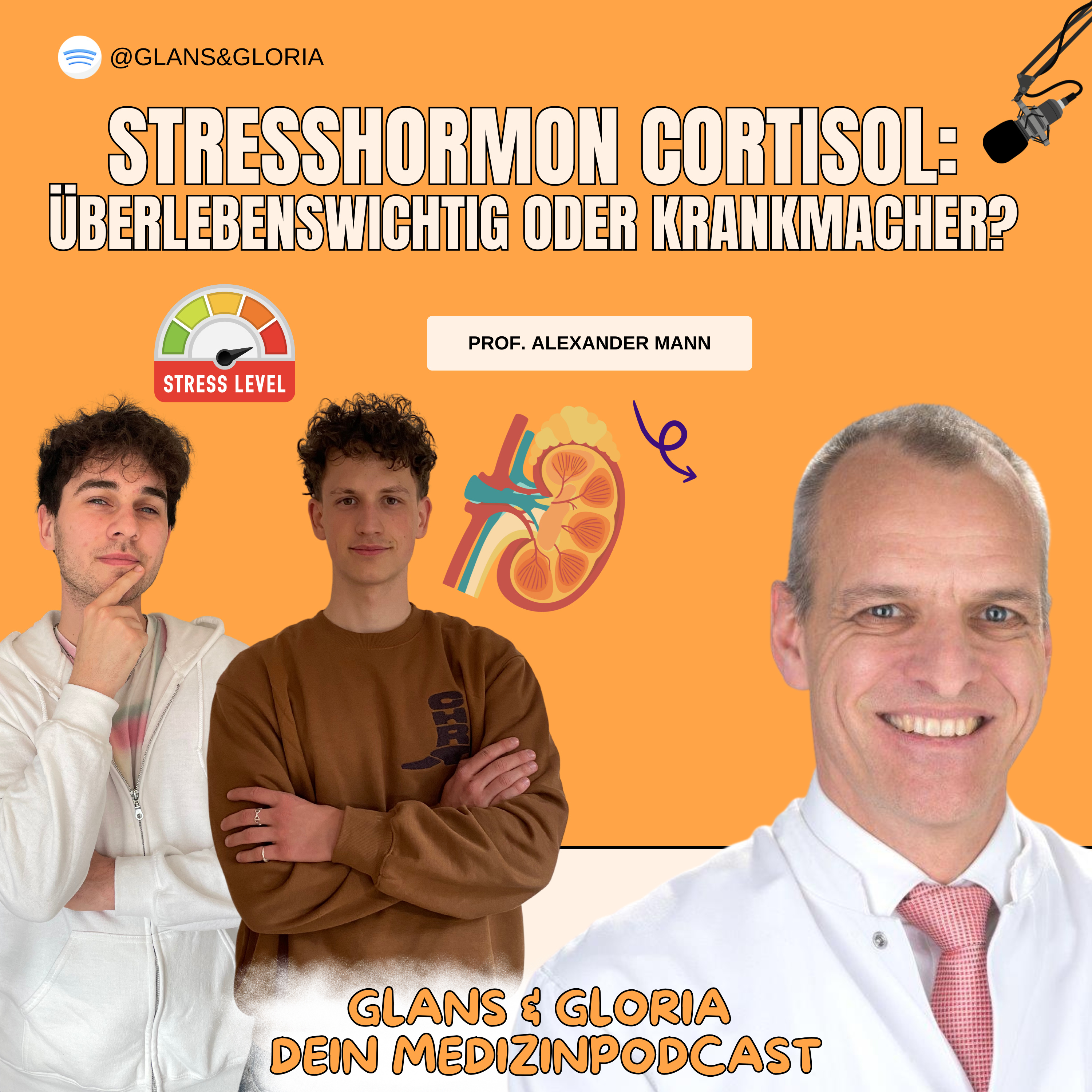 Glans und Gloria - Dein Medizinpodcast