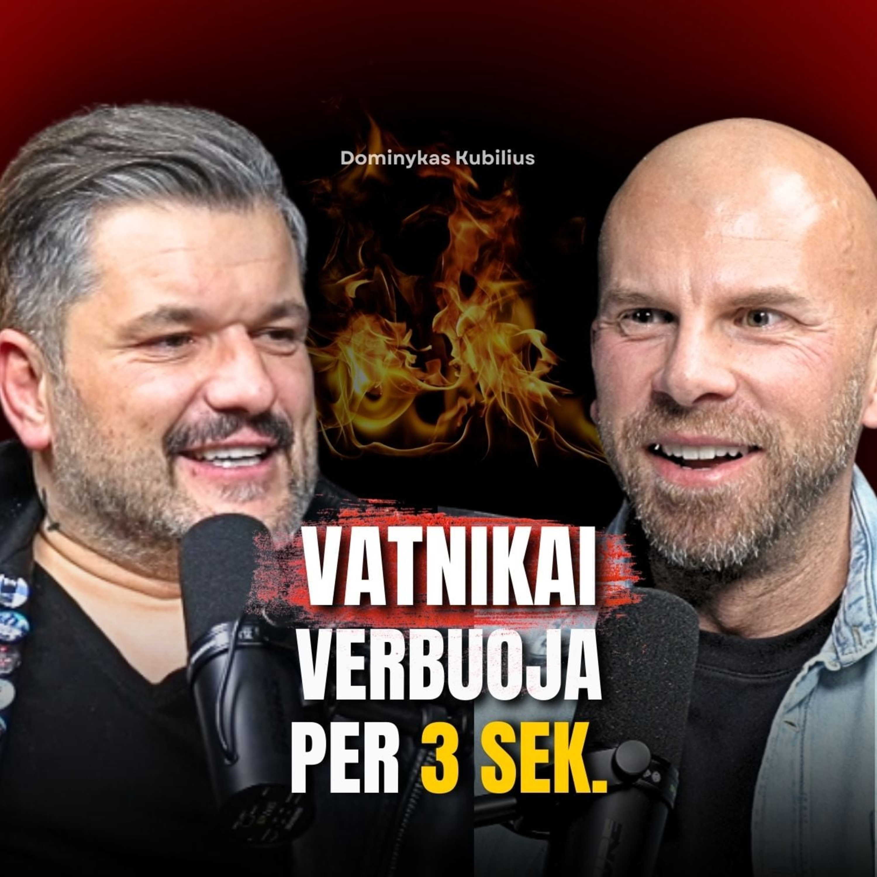 DOMINYKAS KUBILIUS: Tuštybės ekrane, Melas parduoda, Rusų kalba, LRT mitingas episode artwork