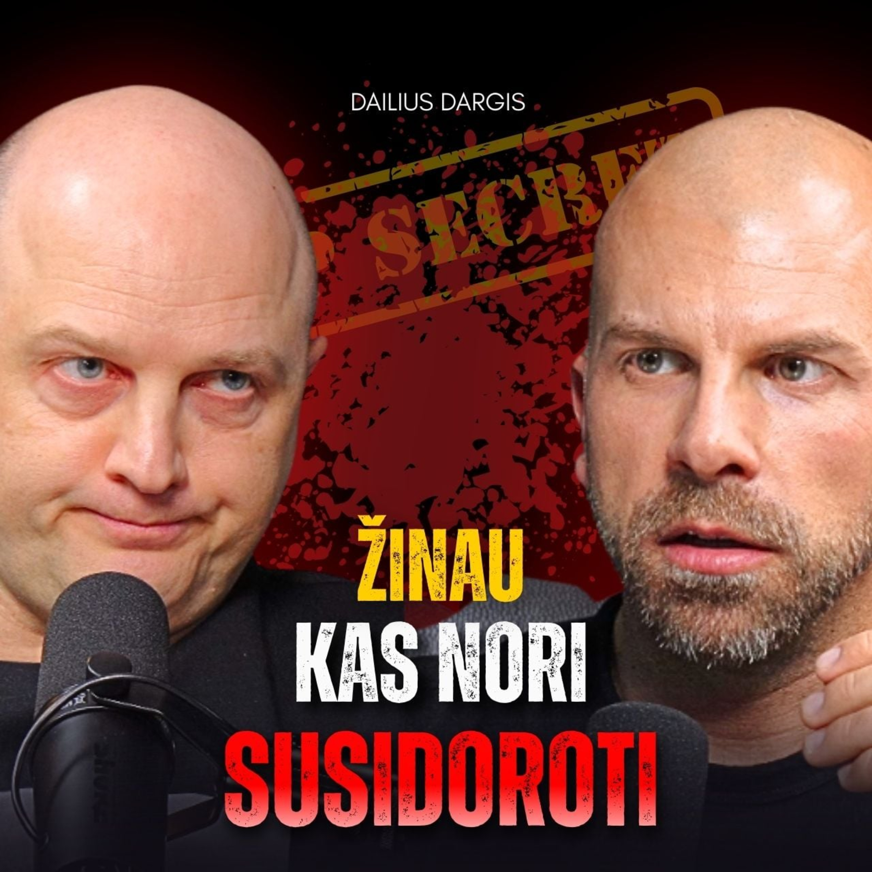 DAILIUS DARGIS: STT spaudimas ir kratos, Epsteino failai, 2026 MAFIJA episode artwork