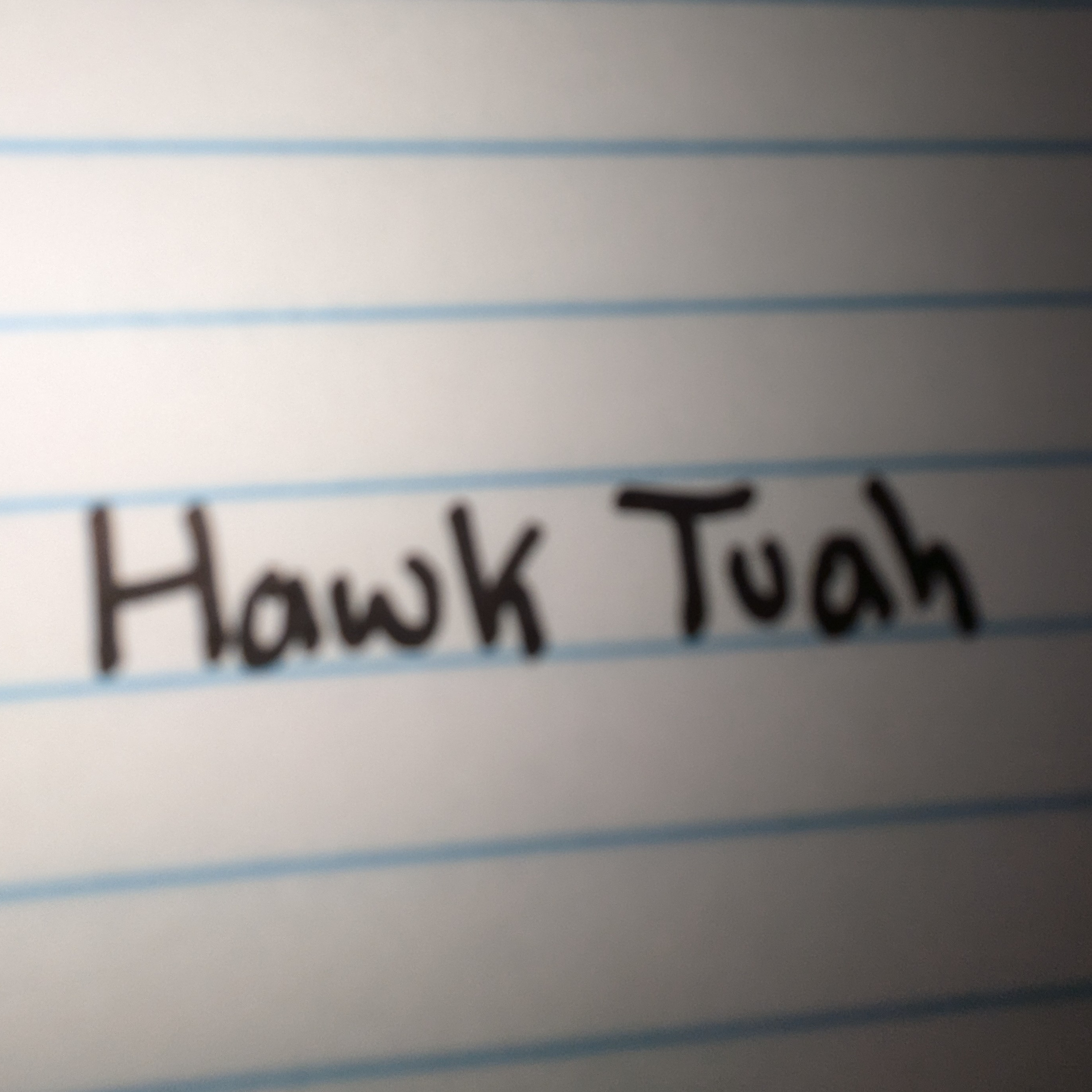 S2 ep 1"Hawk Tuah" episode artwork