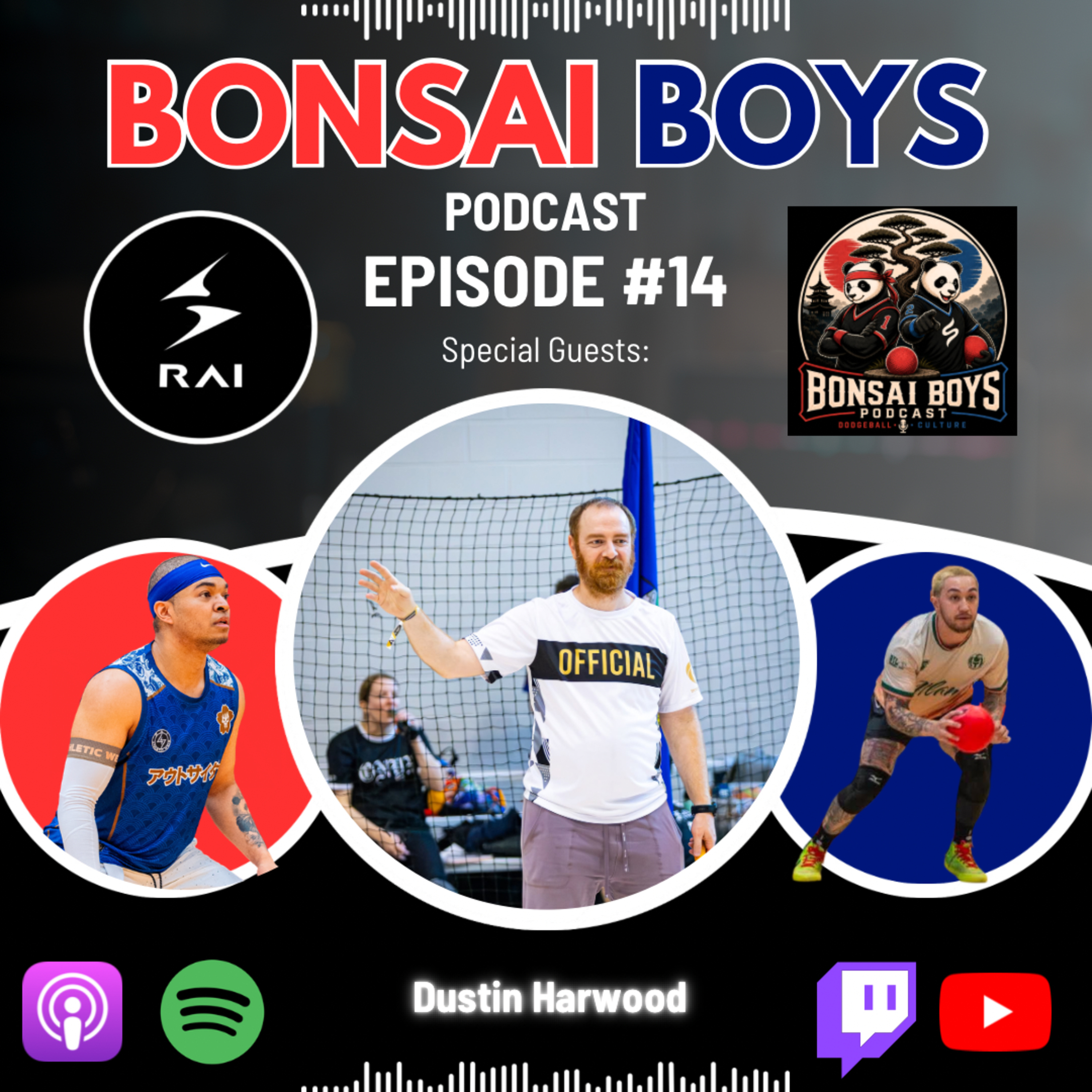 Ep#14: Dustin Harwood - USA Dodgeball Sports Commissioner episode artwork