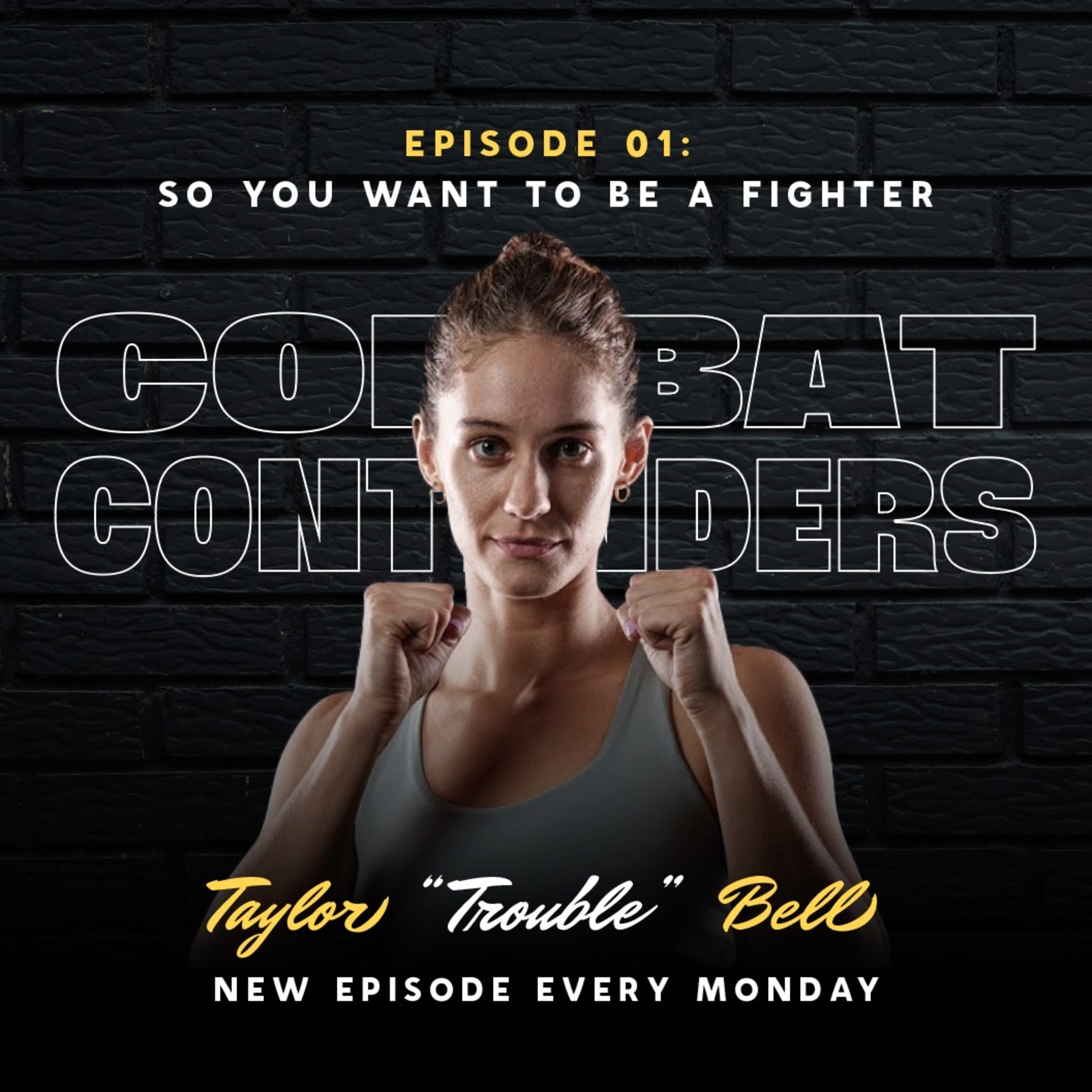 Combat Contenders: The Fighter\'s Guide Book