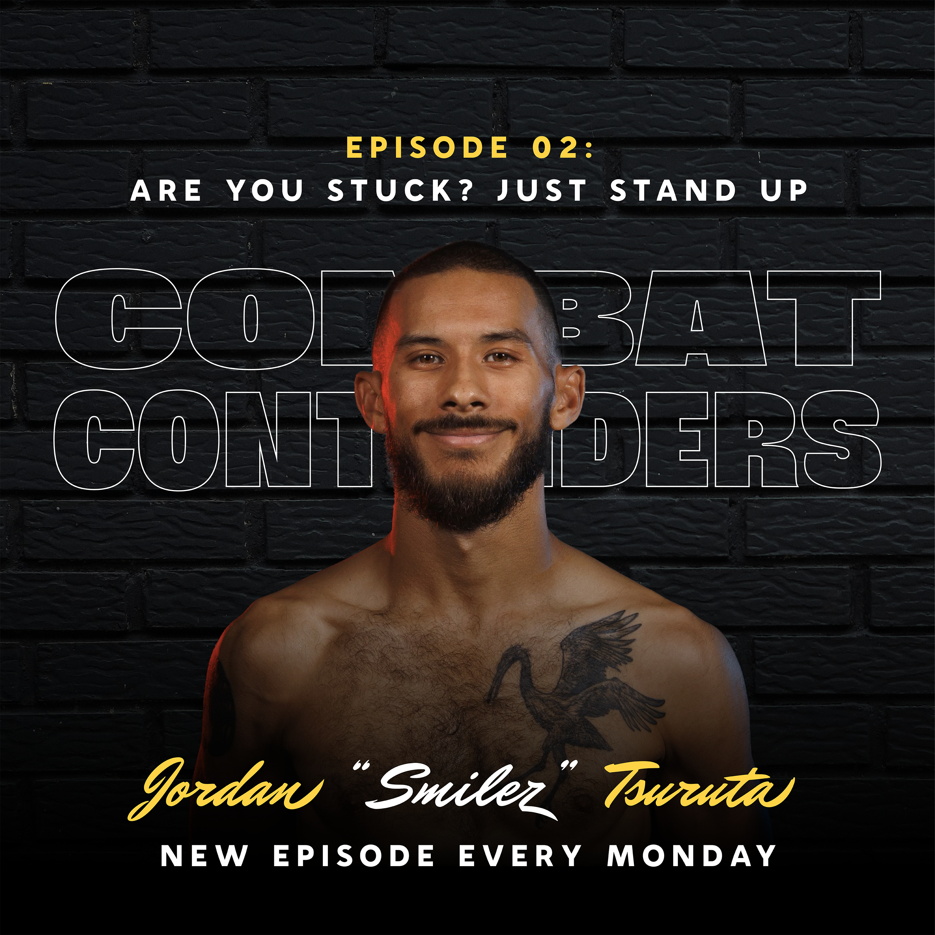 Combat Contenders: The Fighter\'s Guide Book