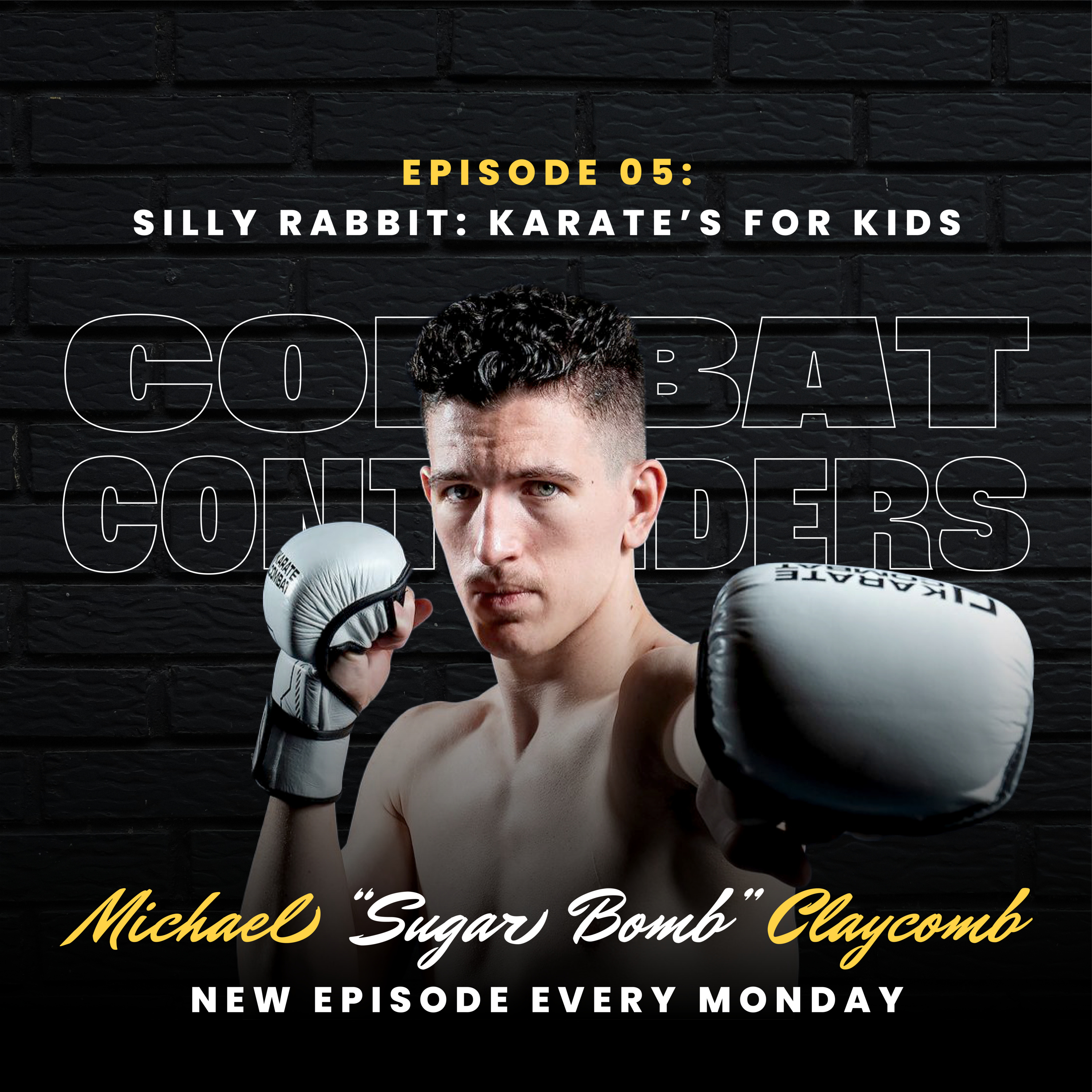 Combat Contenders: The Fighter\'s Guide Book