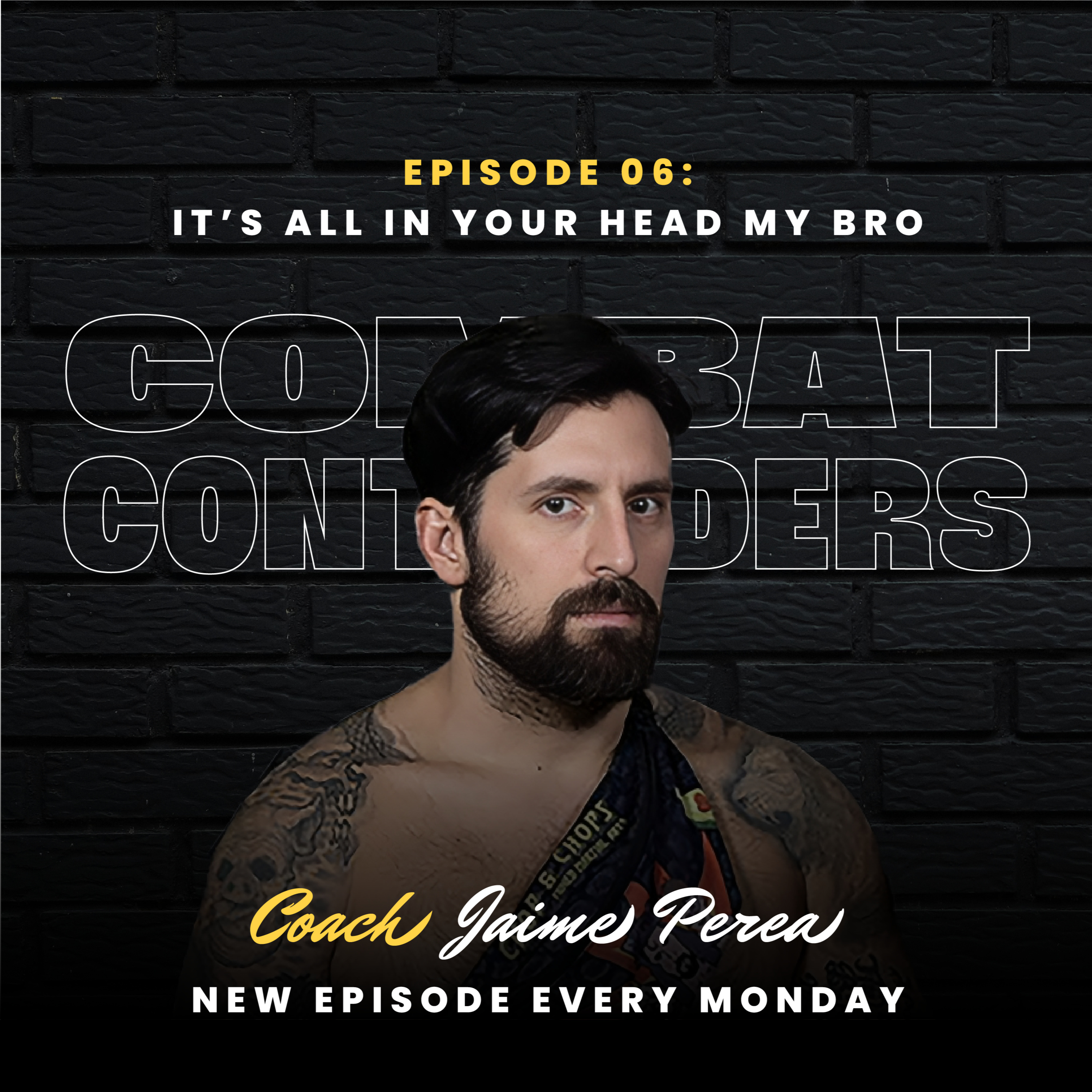 Combat Contenders: The Fighter\'s Guide Book