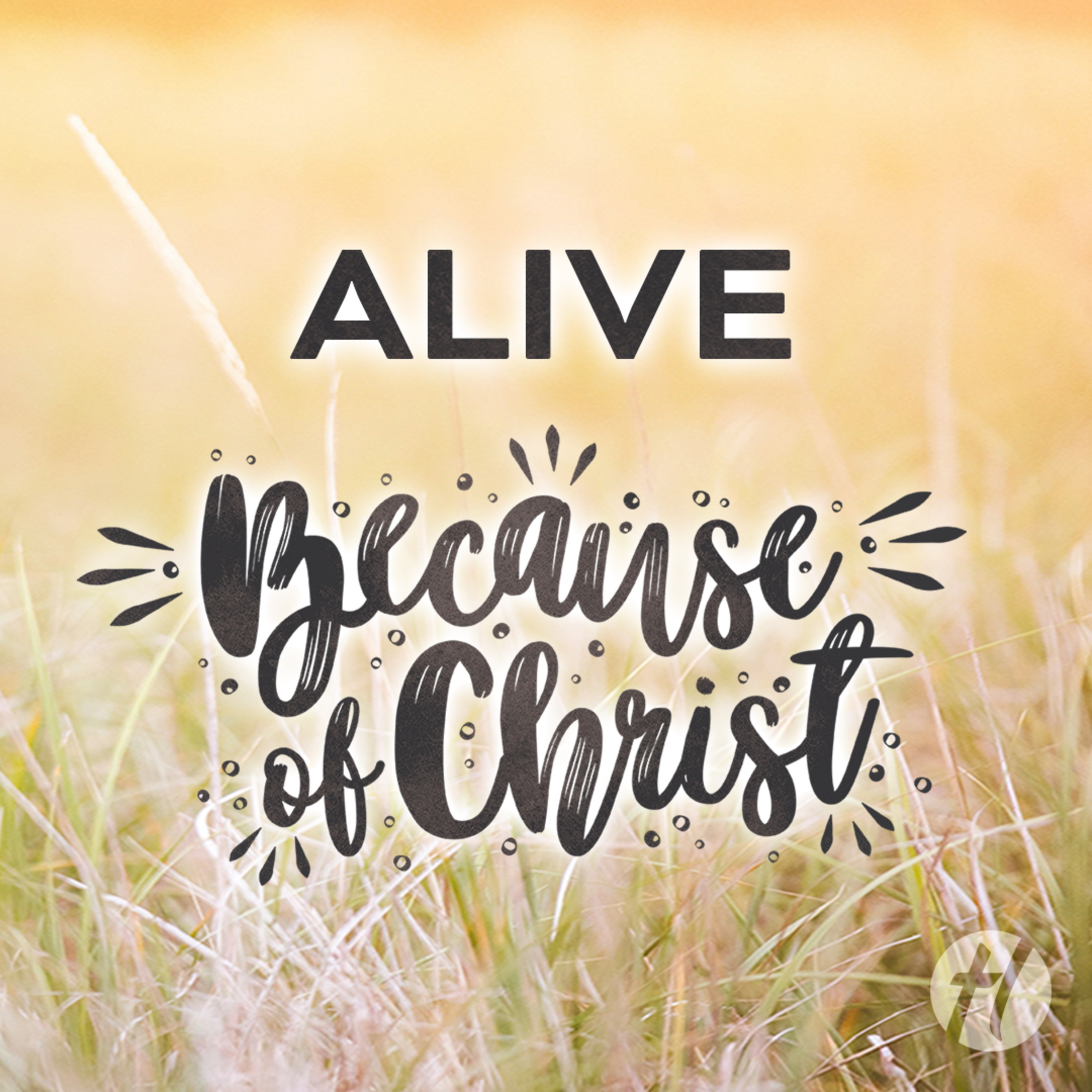 Alive, Because of Christ - June 30, 2024 episode artwork