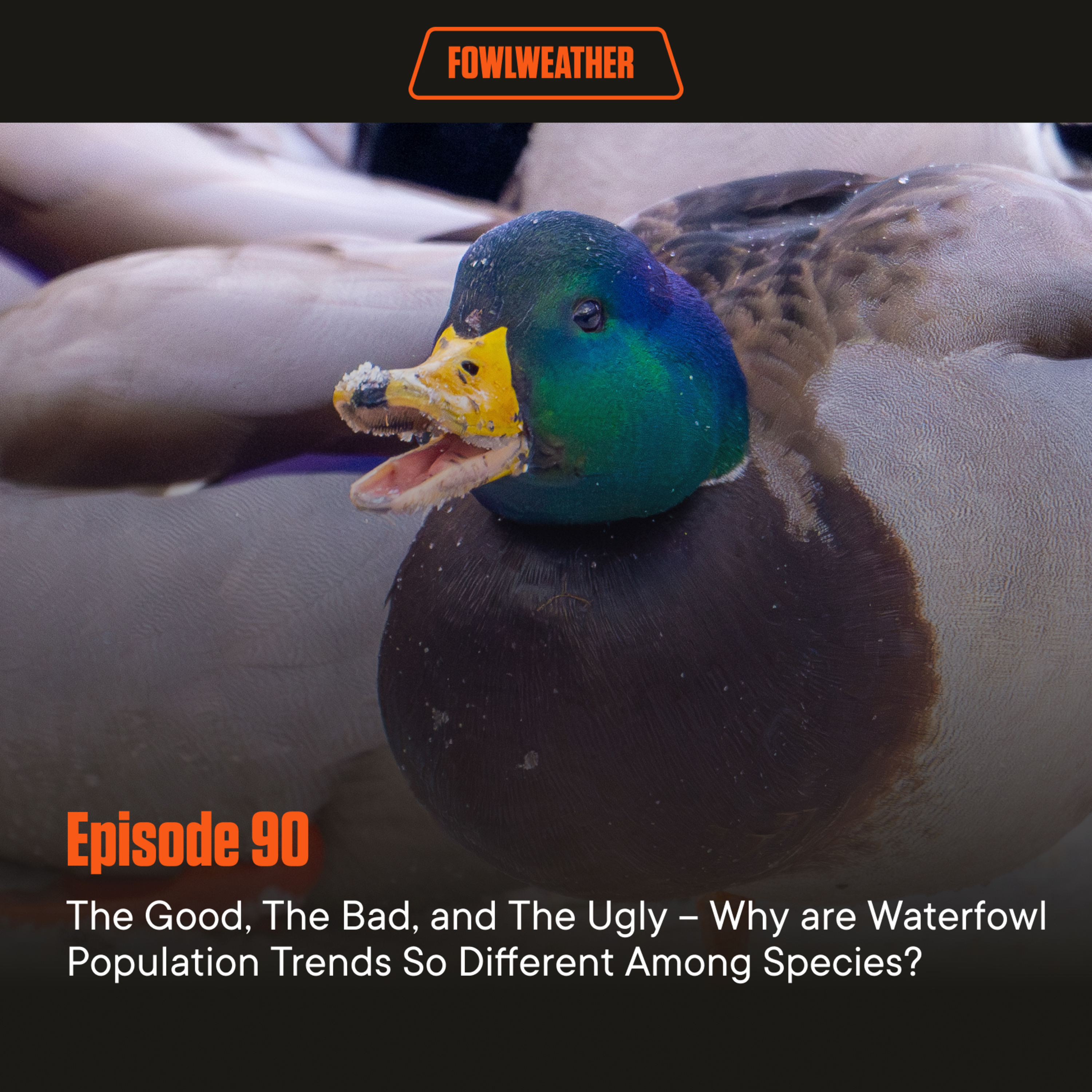 FowlWeather Podcast