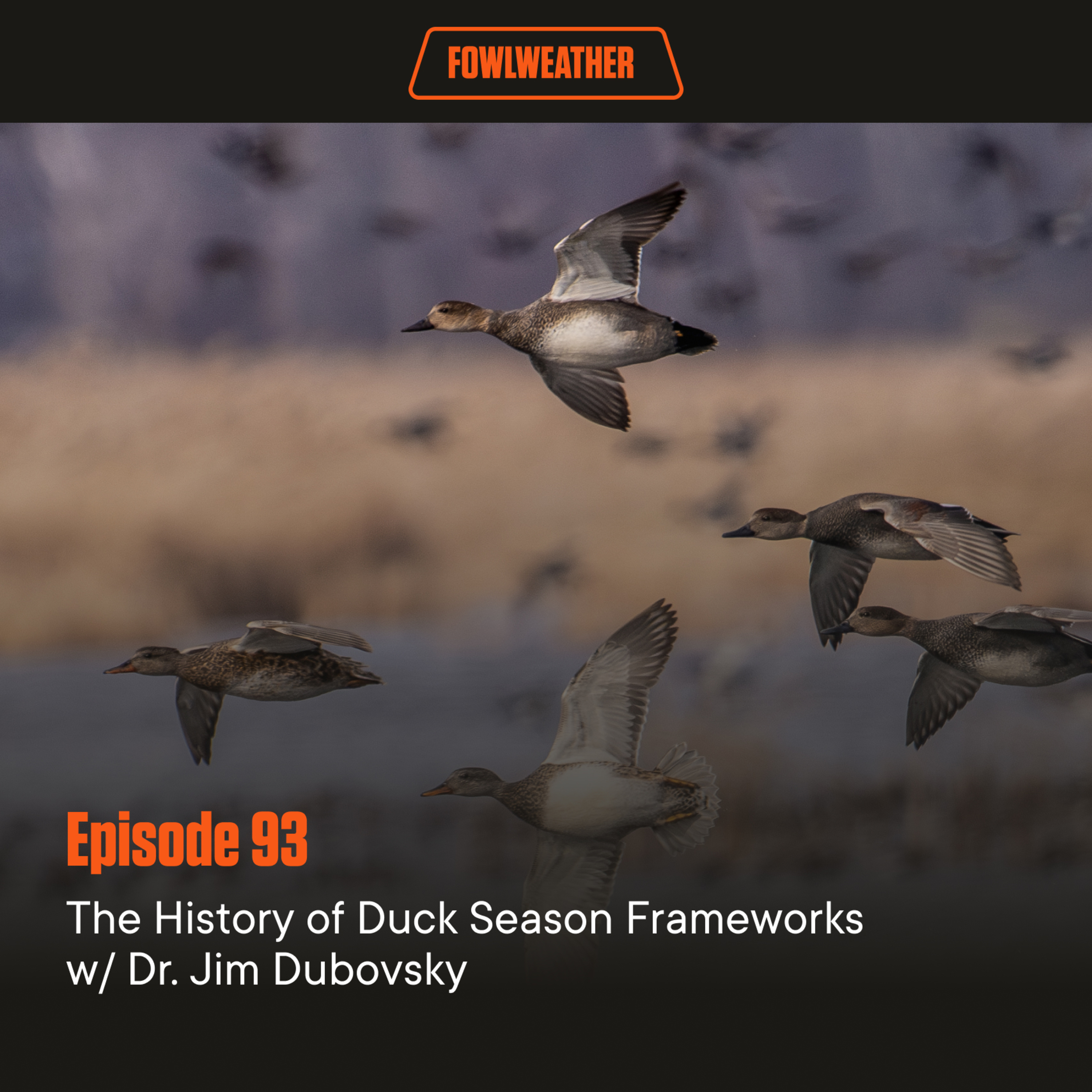 FowlWeather Podcast