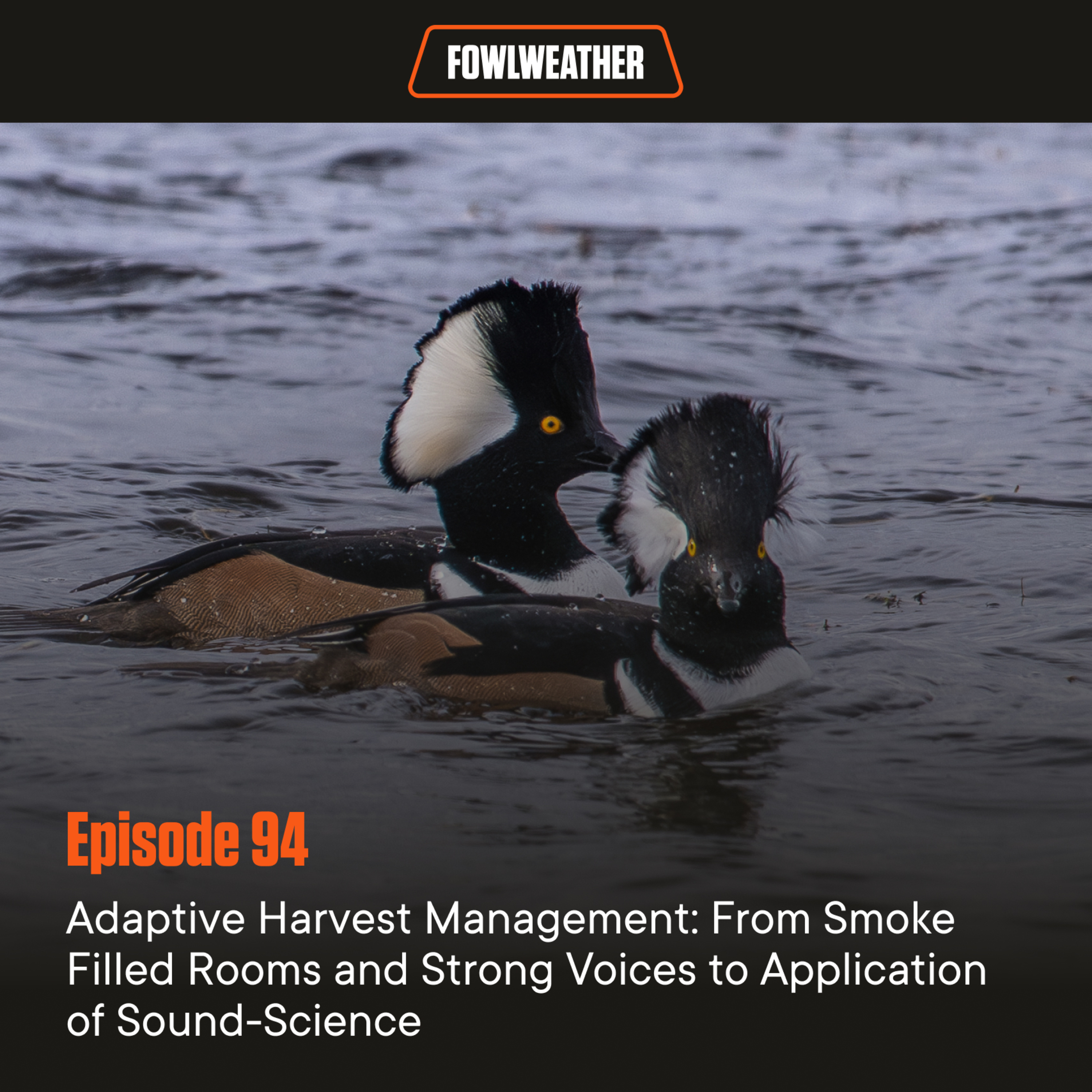 FowlWeather Podcast