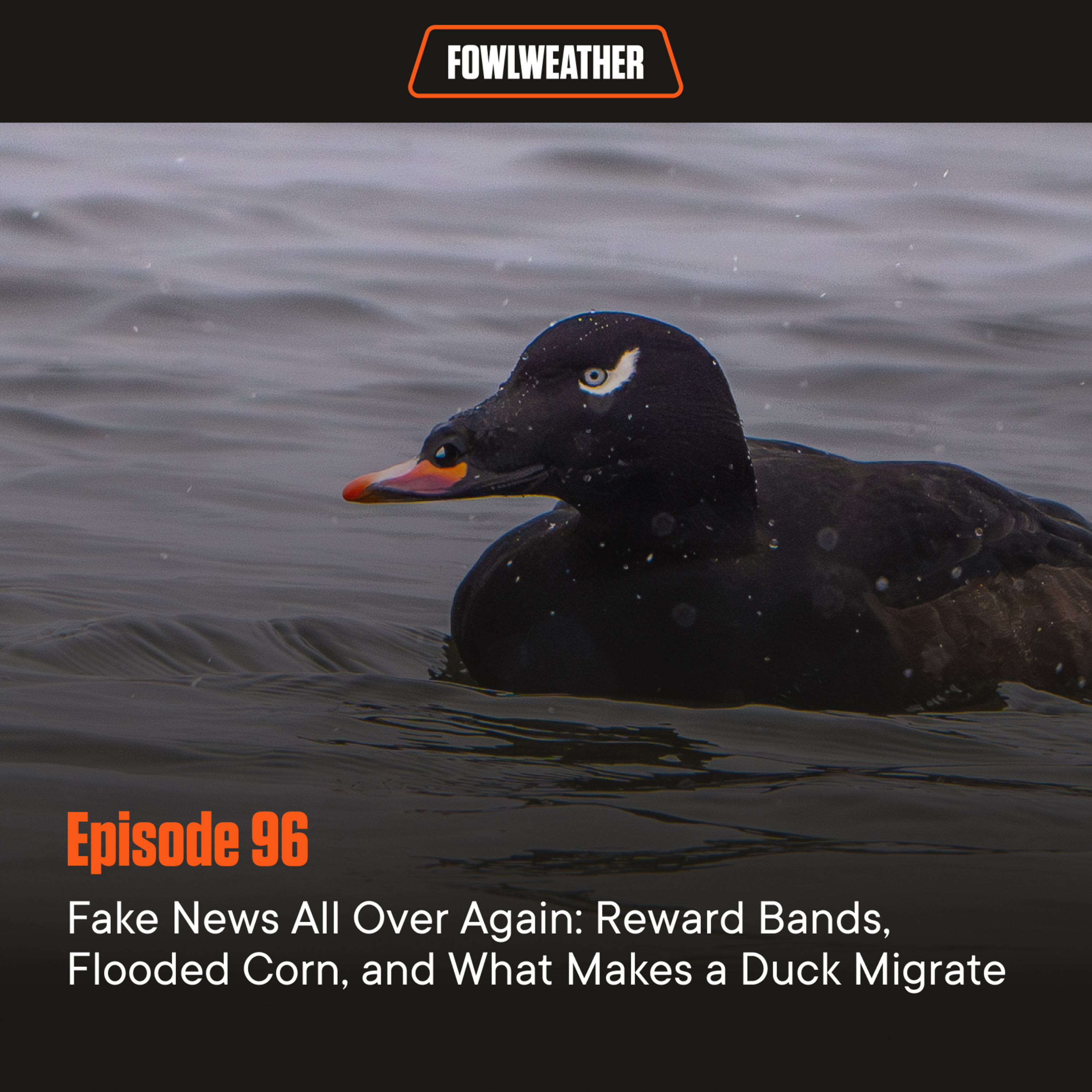 FowlWeather Podcast