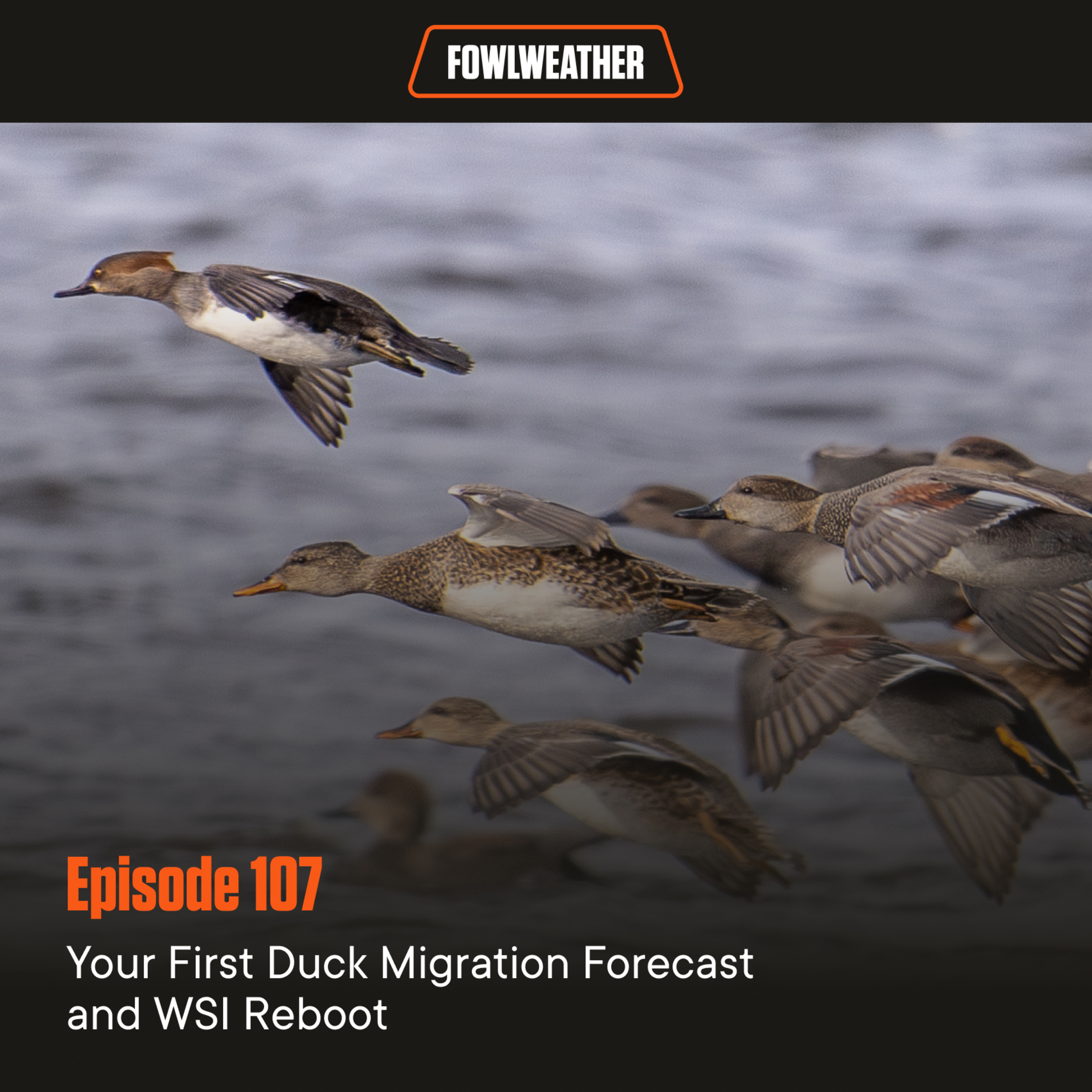 FowlWeather Podcast