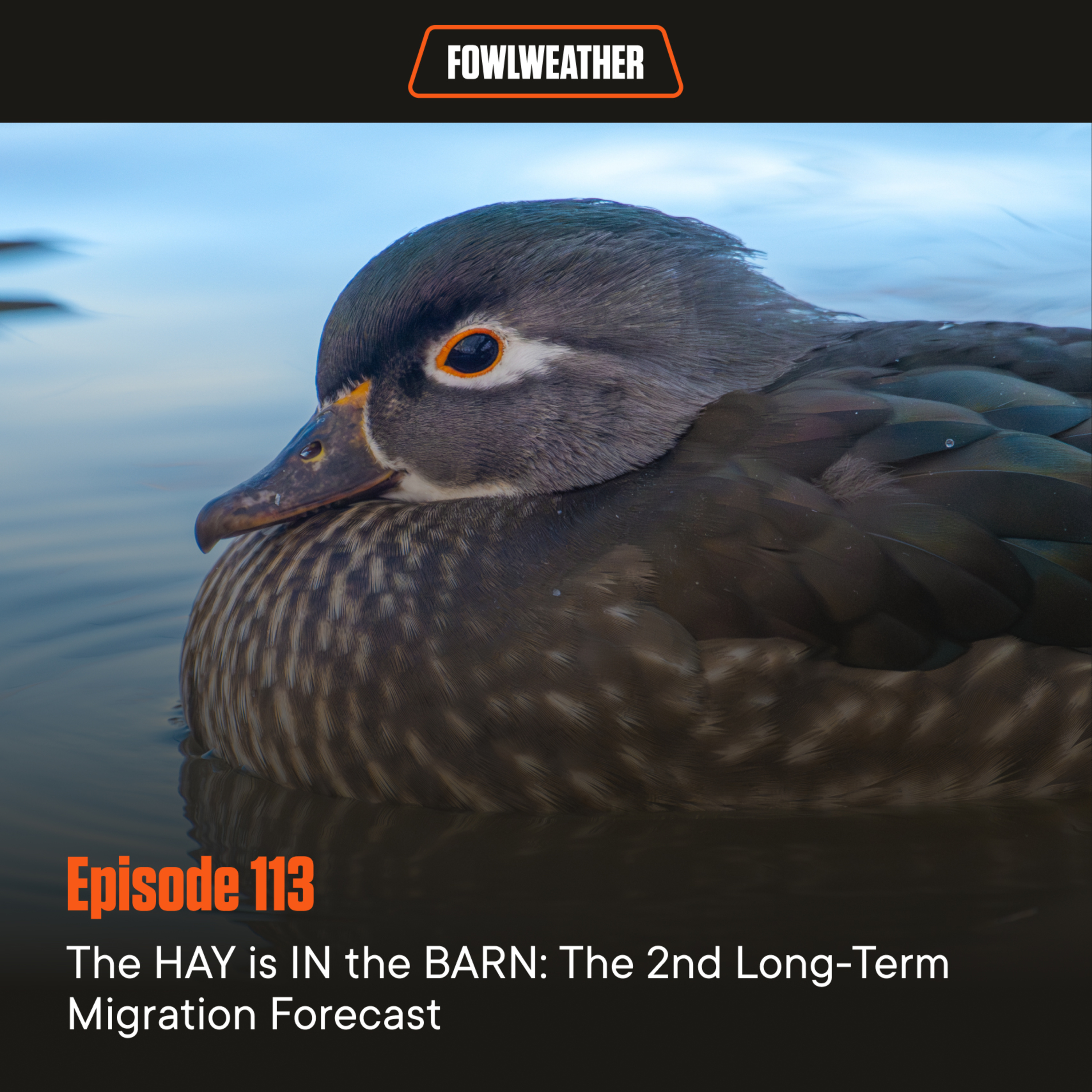 FowlWeather Podcast