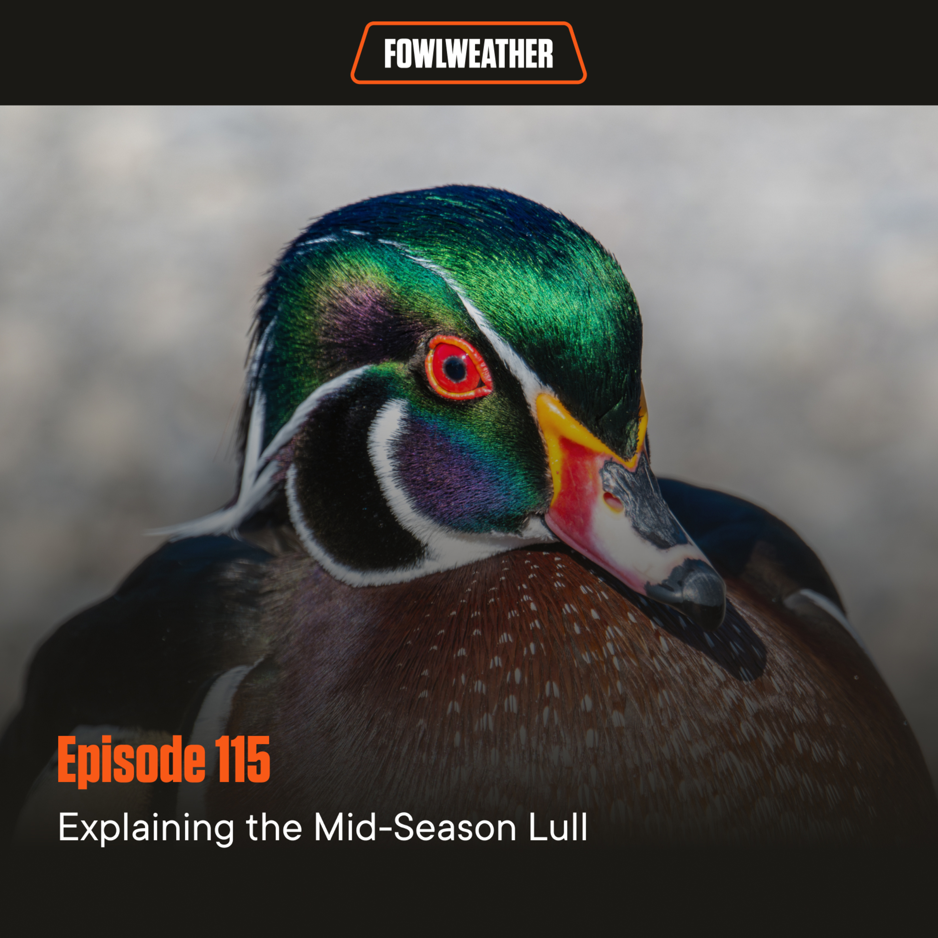 FowlWeather Podcast