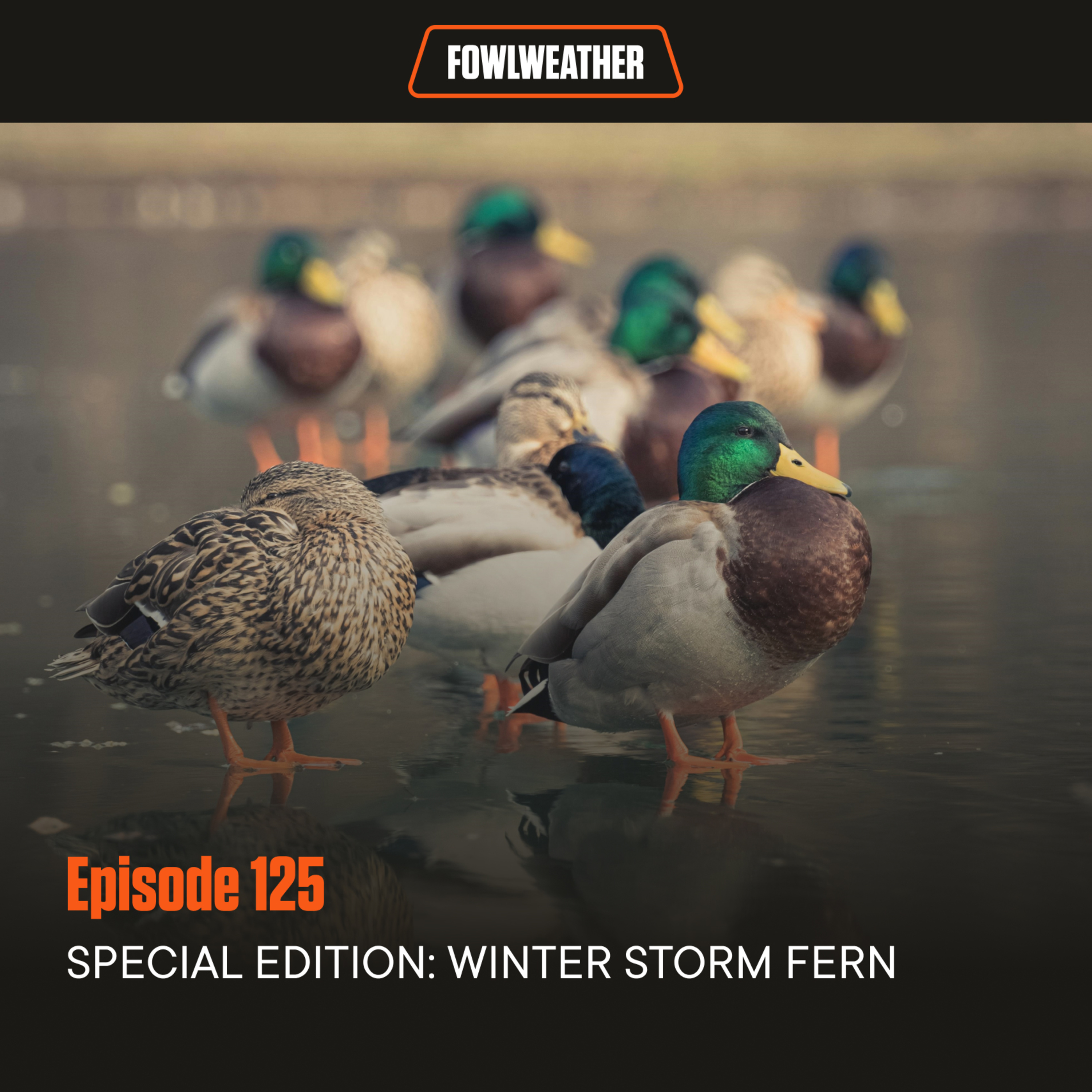 FowlWeather Podcast