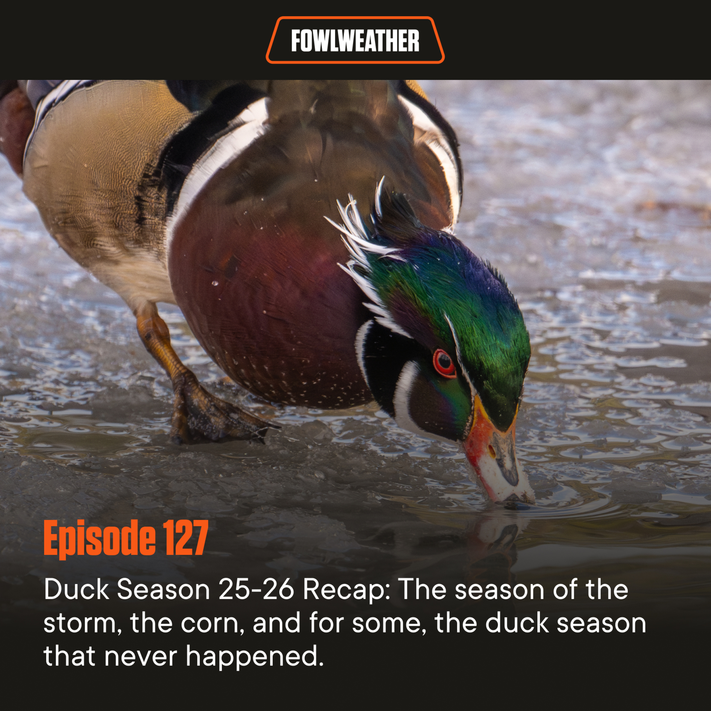 FowlWeather Podcast