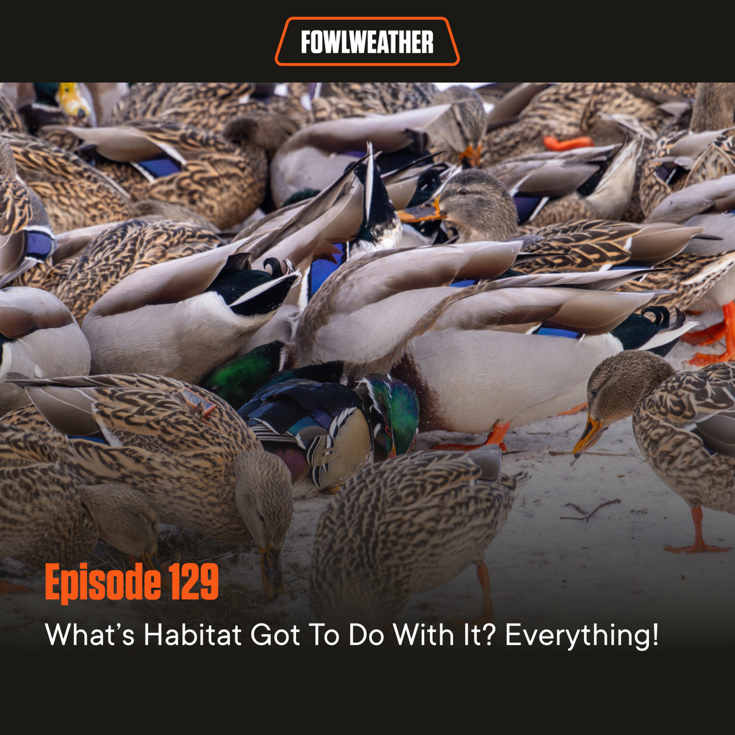 Ep. 129 – What’s Habitat Got To Do With It? Everything!