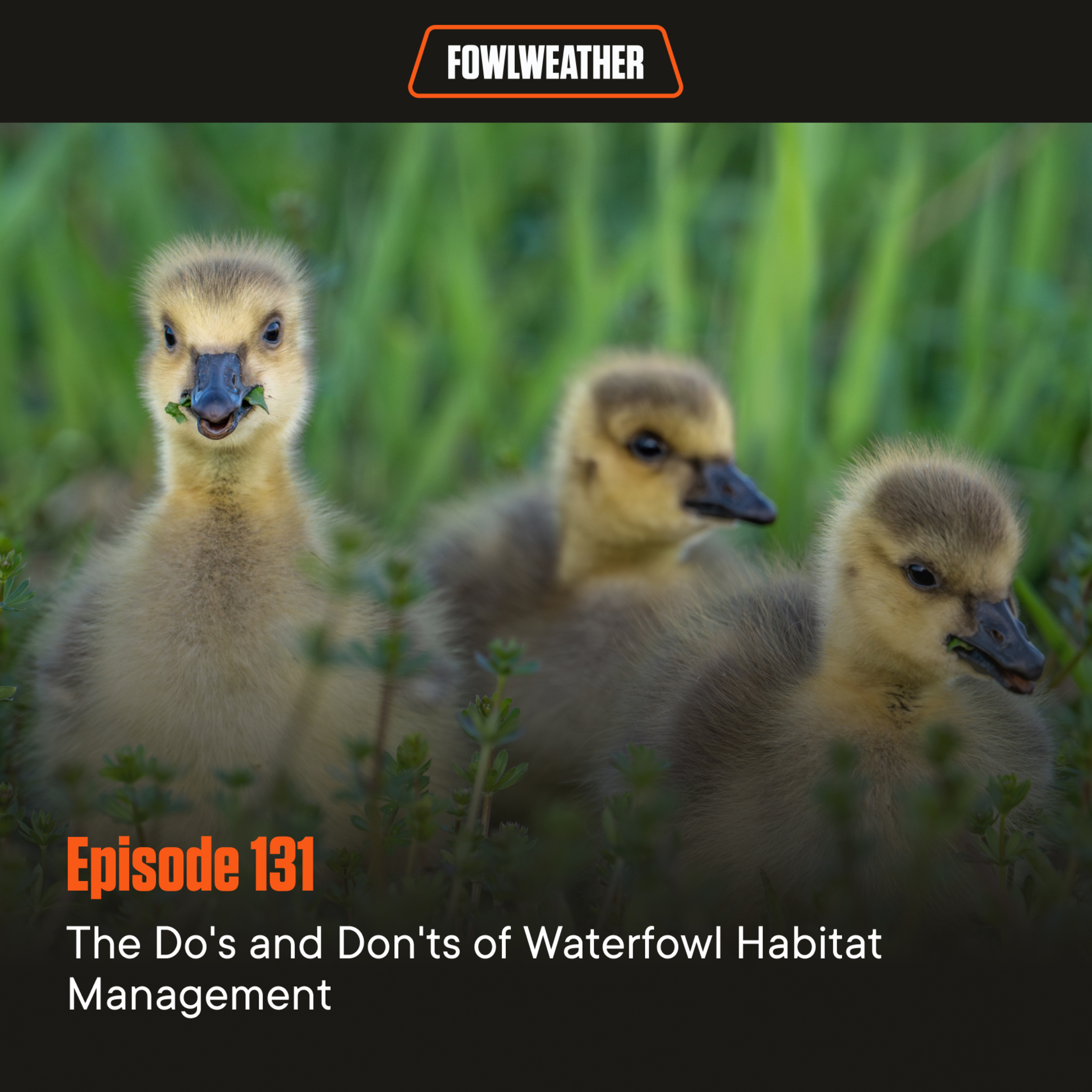 FowlWeather Podcast