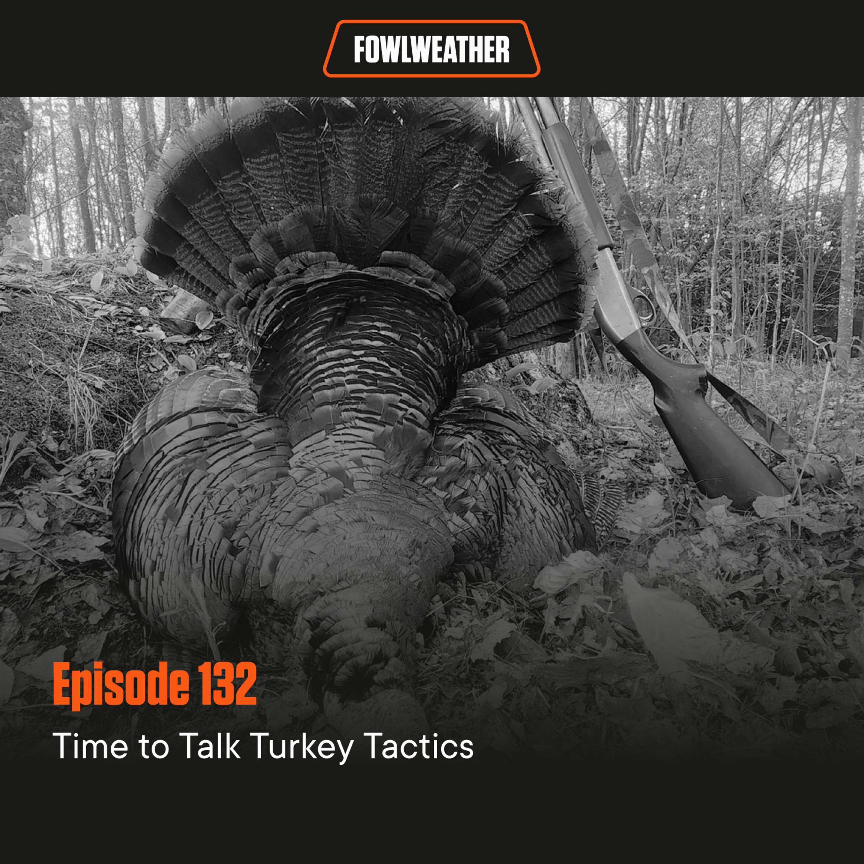 Ep. 132 – Time to Talk Turkey Tactics episode artwork