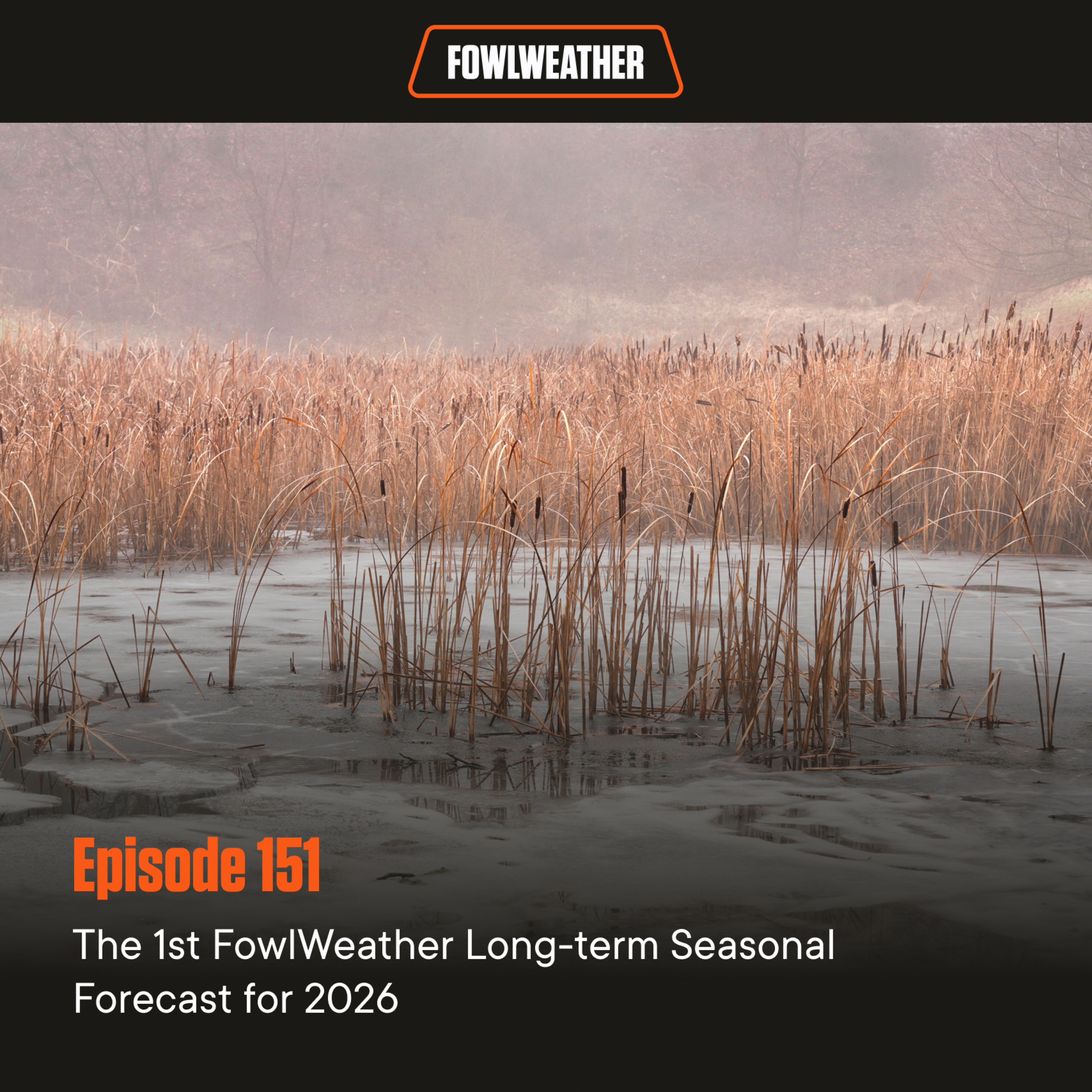 FowlWeather Podcast
