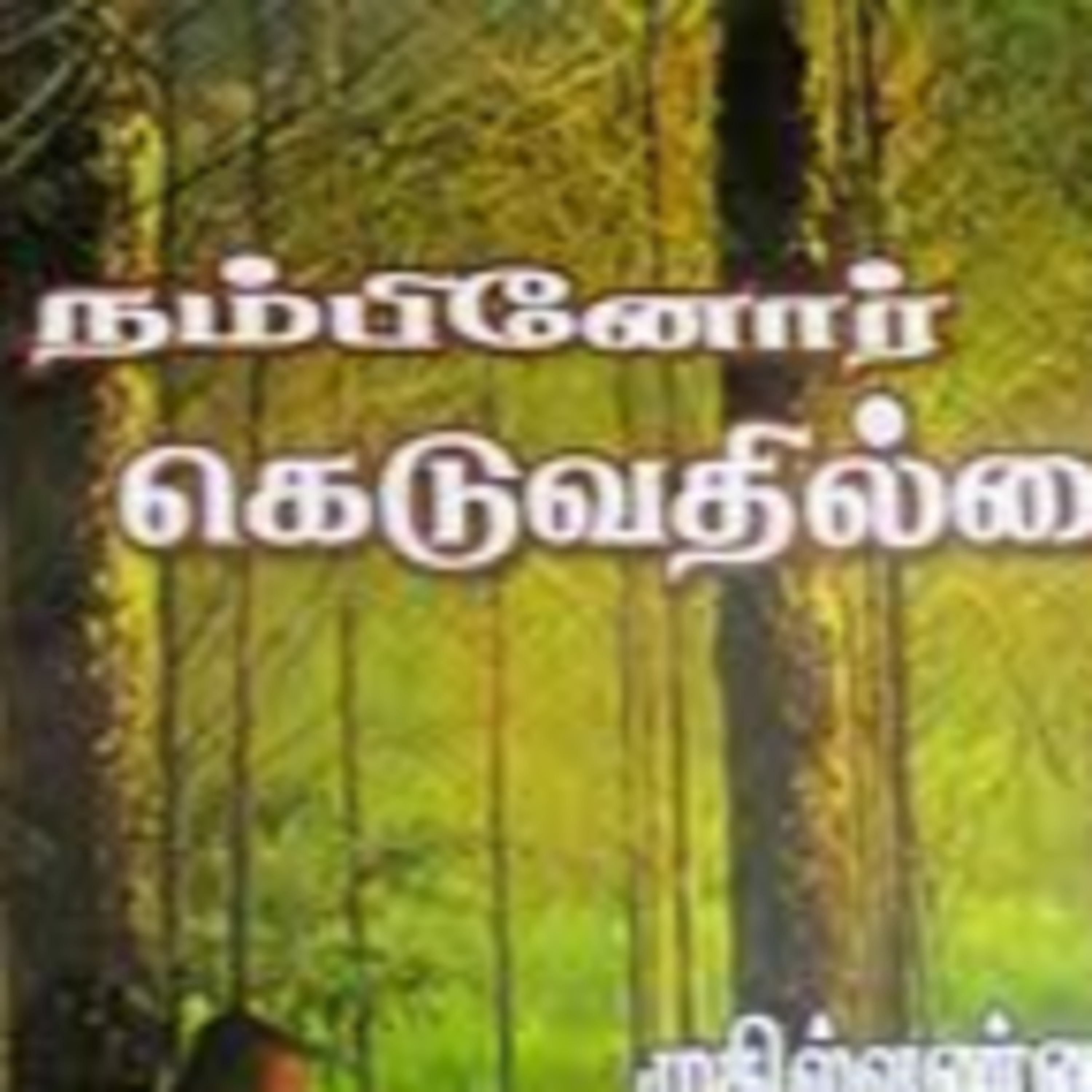 நம்பினோர் கெடுவதில்லை | ஒலிச்சித்திரம் | 20 episode artwork