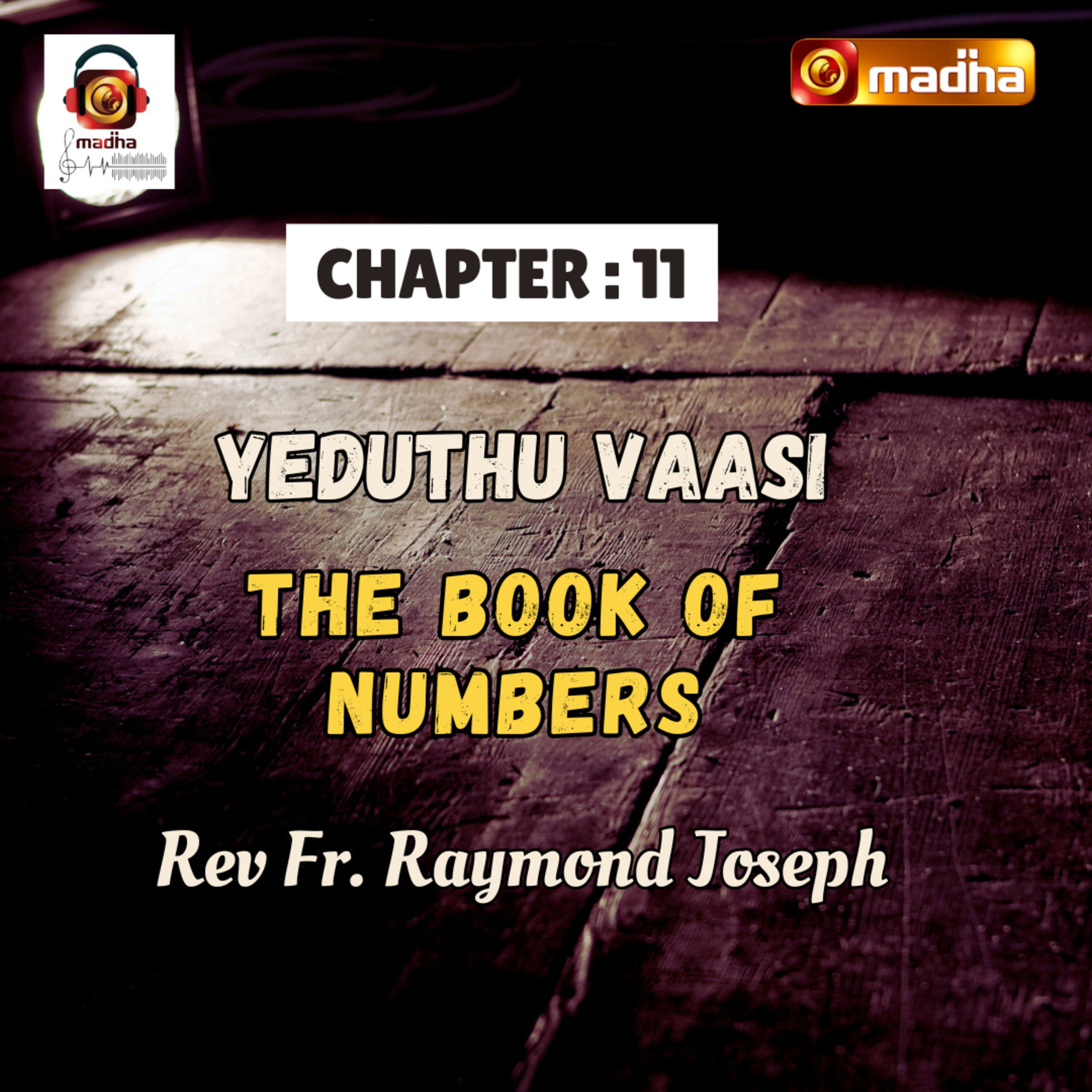 BOOK OF NUMBERS | CHAPTER - 11 | YEDUTHU VAASI | MADHA TV episode artwork