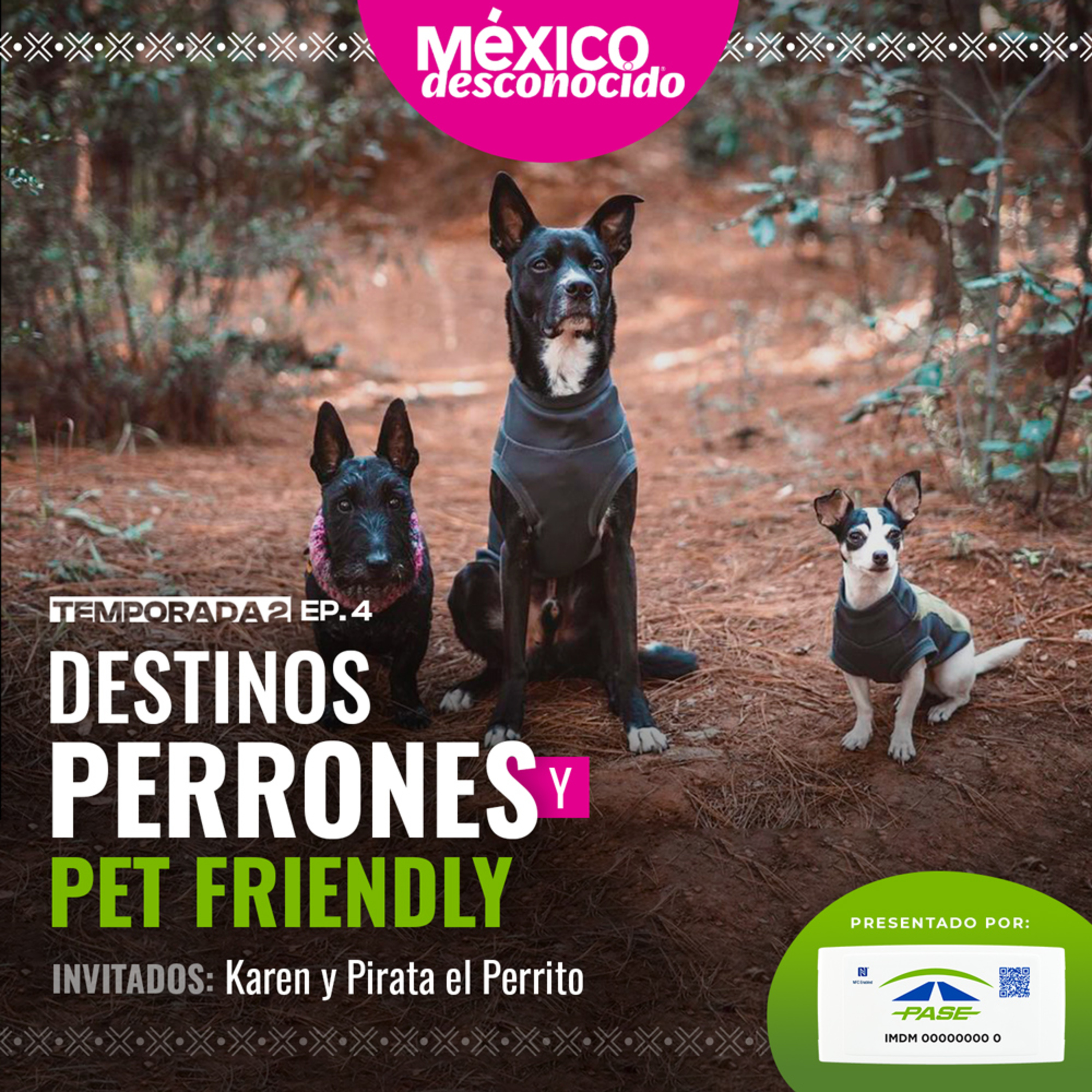 México Desconocido - T2 | E4 - Destinos perrones y pet friendly con Karen y Pirata el perro viajero episode artwork