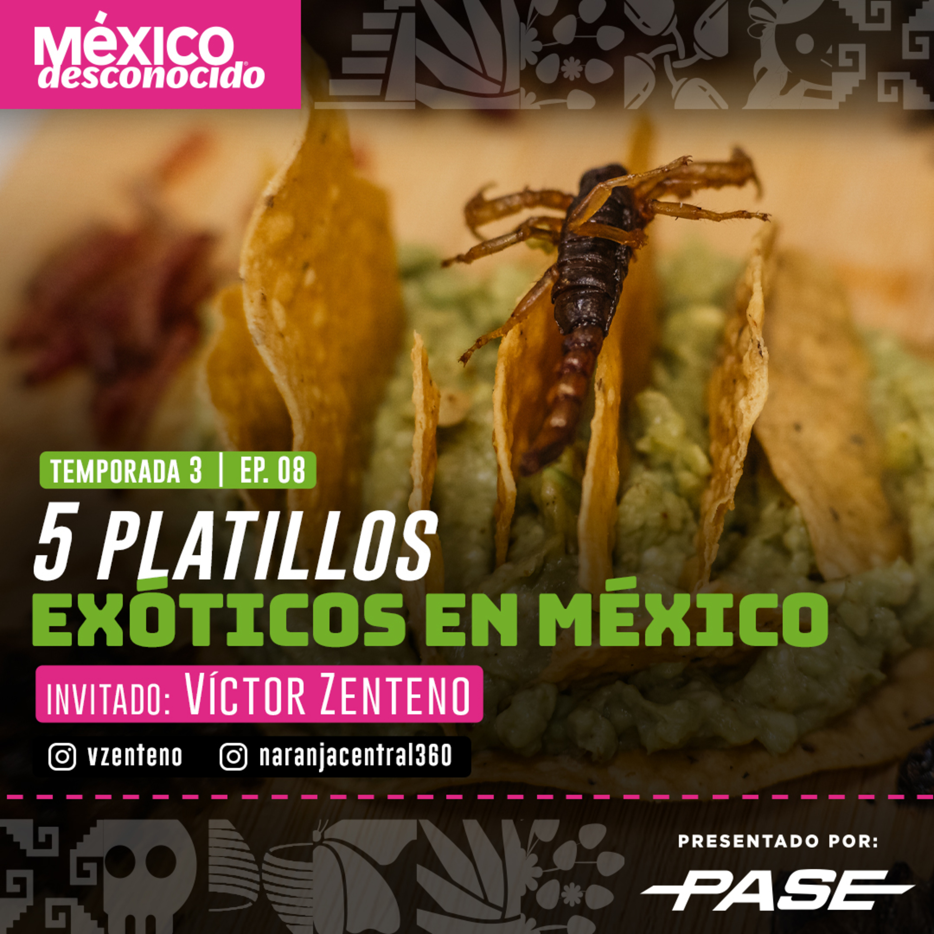 México Desconocido T3 | E8 - 5 Platillos exóticos en México con Víctor Zenteno episode artwork