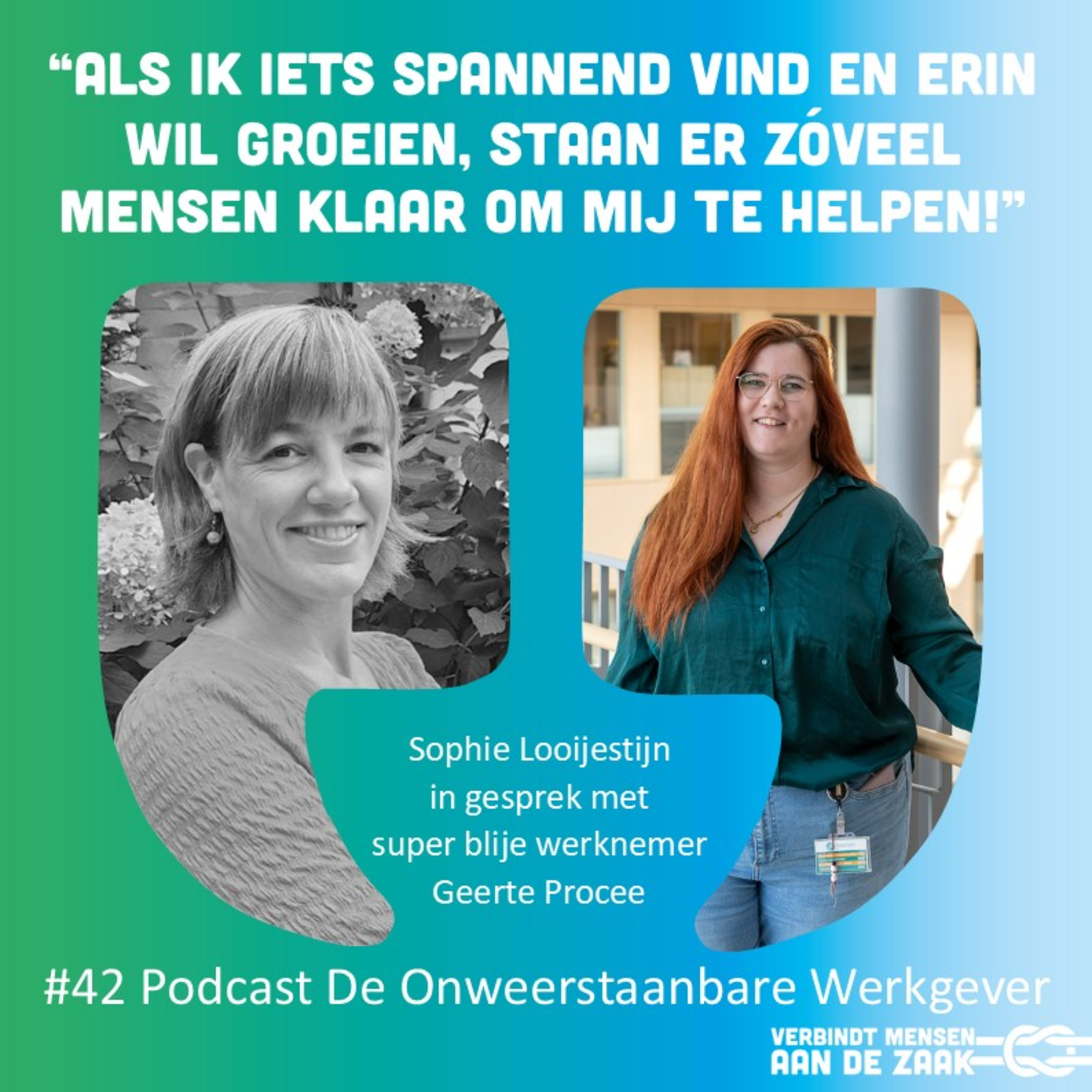 De Onweerstaanbare Werkgever