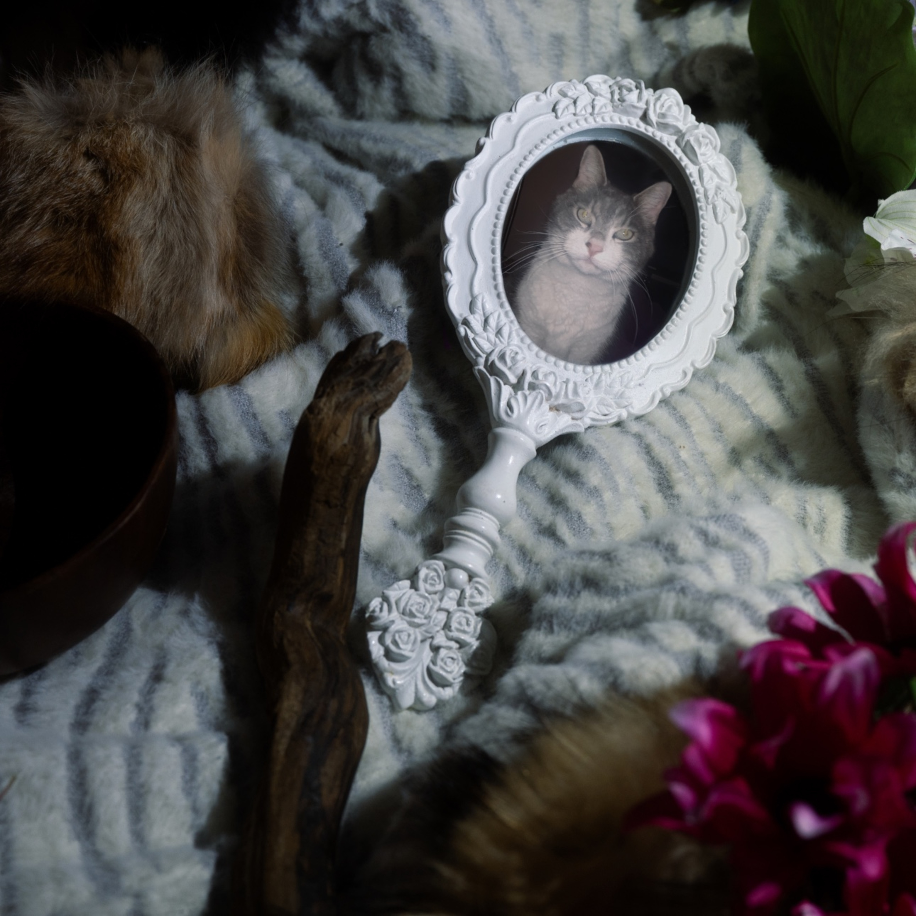 Un conte inattendu d’une fille et son chat episode artwork