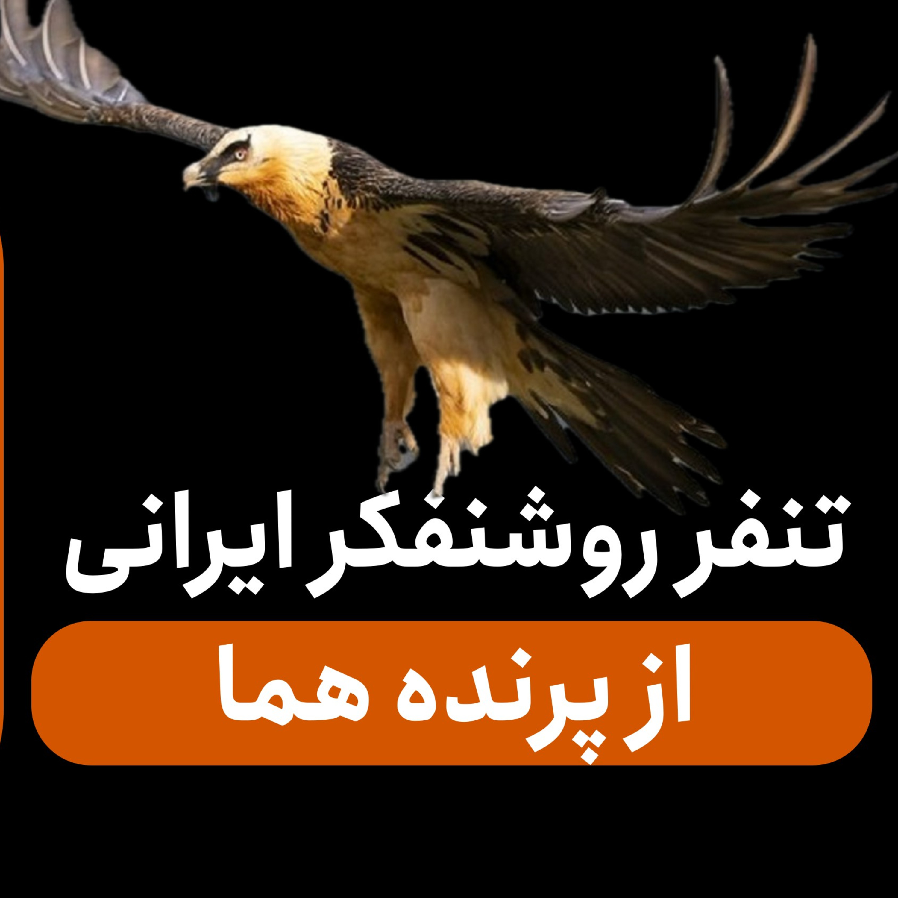  تنفر روشنفکر ایرانی از پرنده هما | قسمت ۲۲ episode artwork