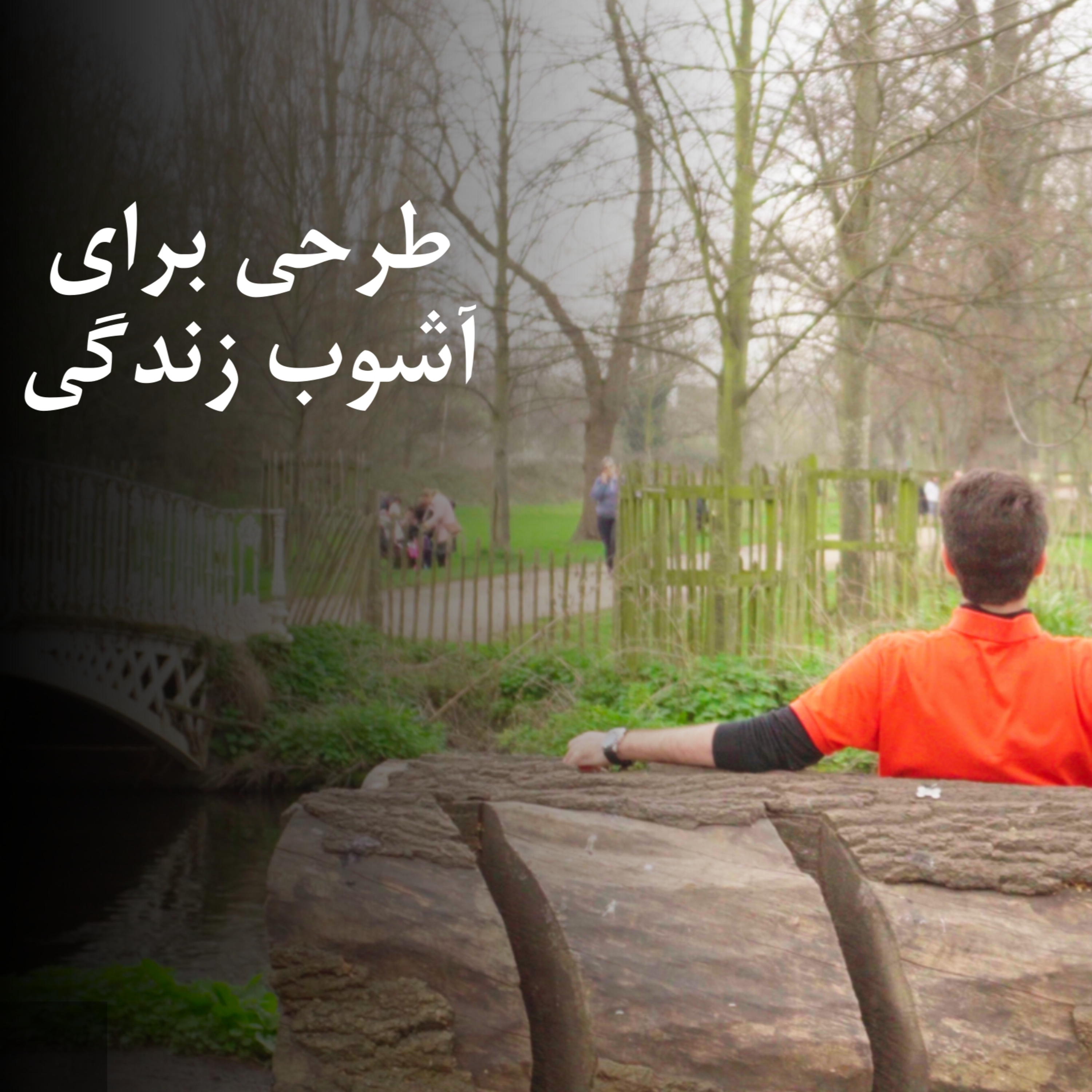 طرحی برای آشوب زندگی episode artwork