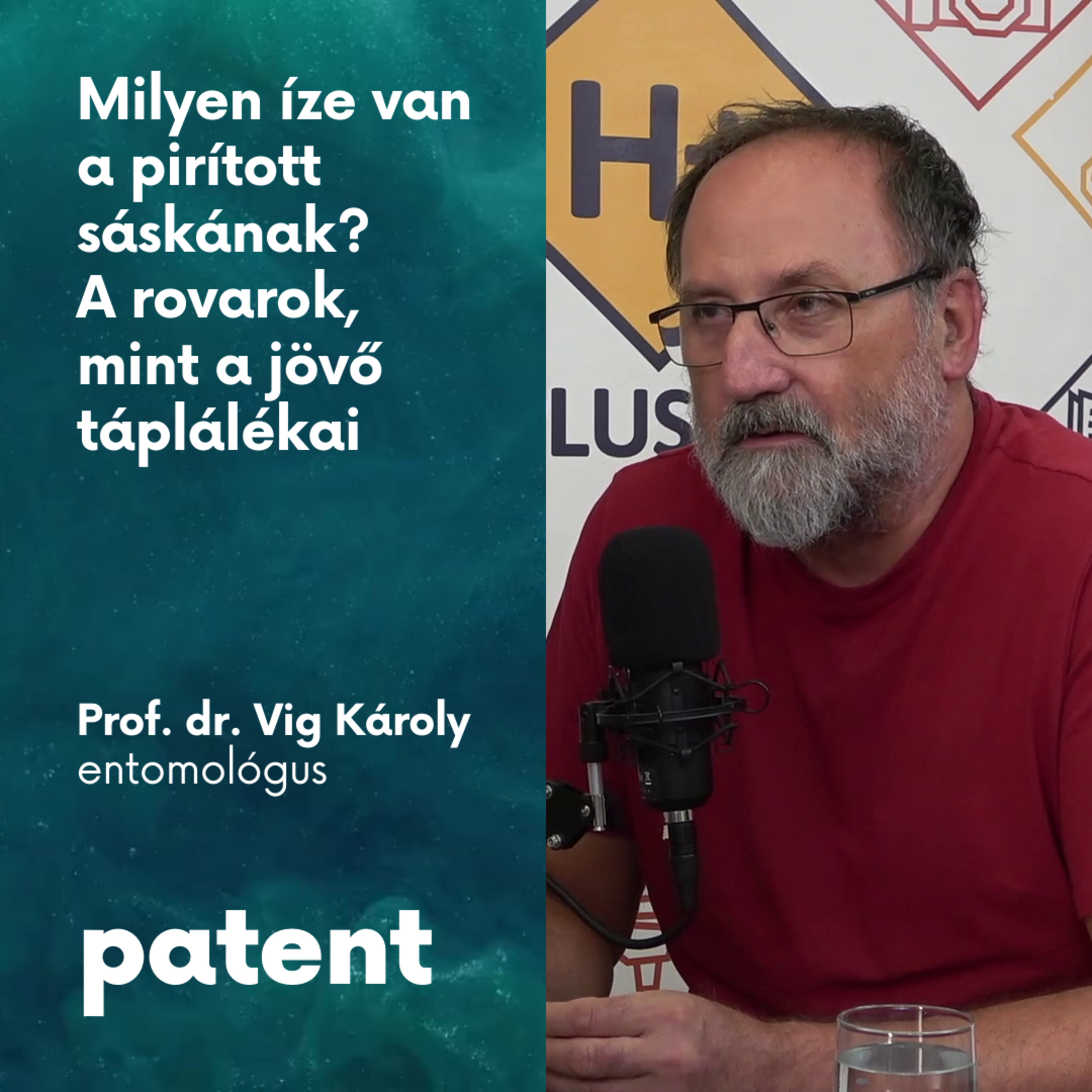PATENT - Milyen íze van a pirított sáskának? A rovarok, mint a jövő táplálékai episode artwork