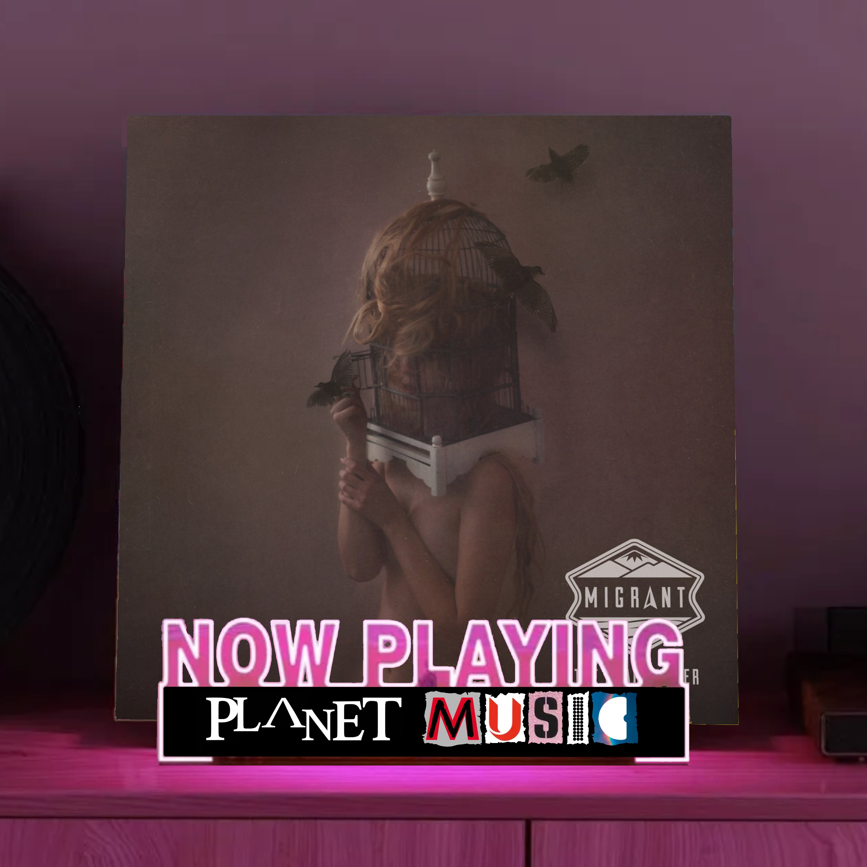 Planet Music. 14. The Dear Hunter - Migrant episode artwork