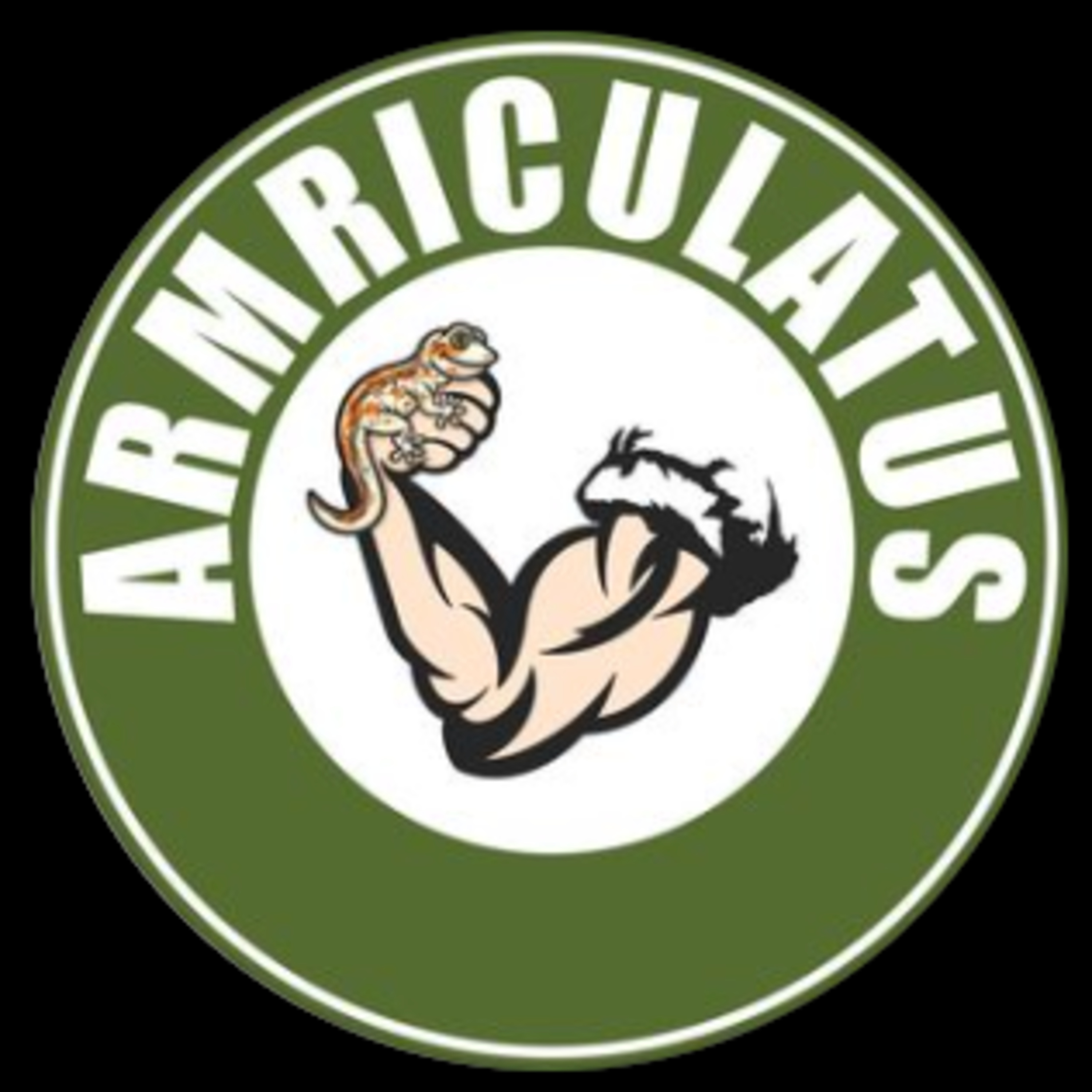 New Gecko Kid On The Block - Episode 2 - Armriculatus  episode artwork