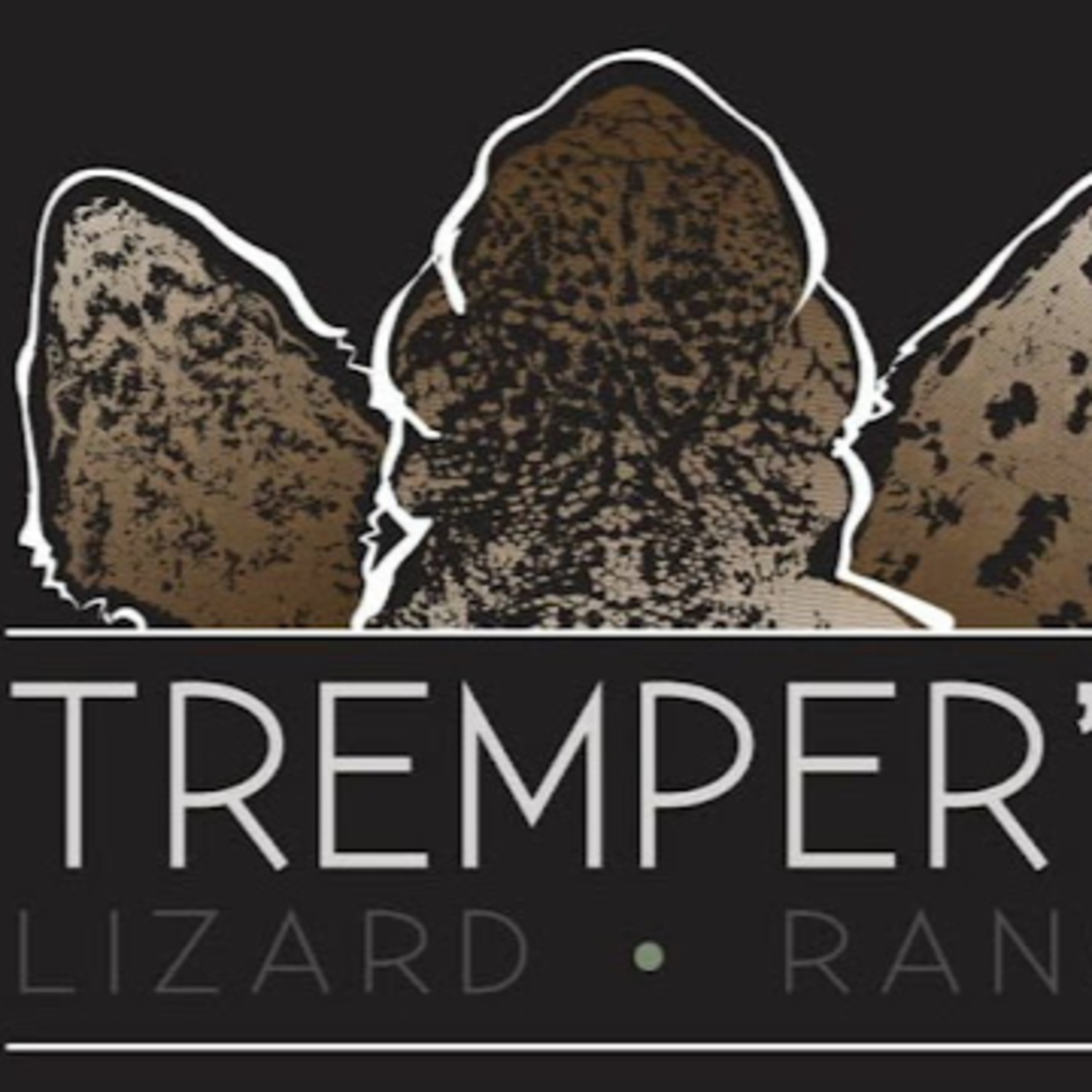 Tomatoes for Christmas w/ Philip Tremper- Episode 15 - Tremper Lizard Ranch episode artwork