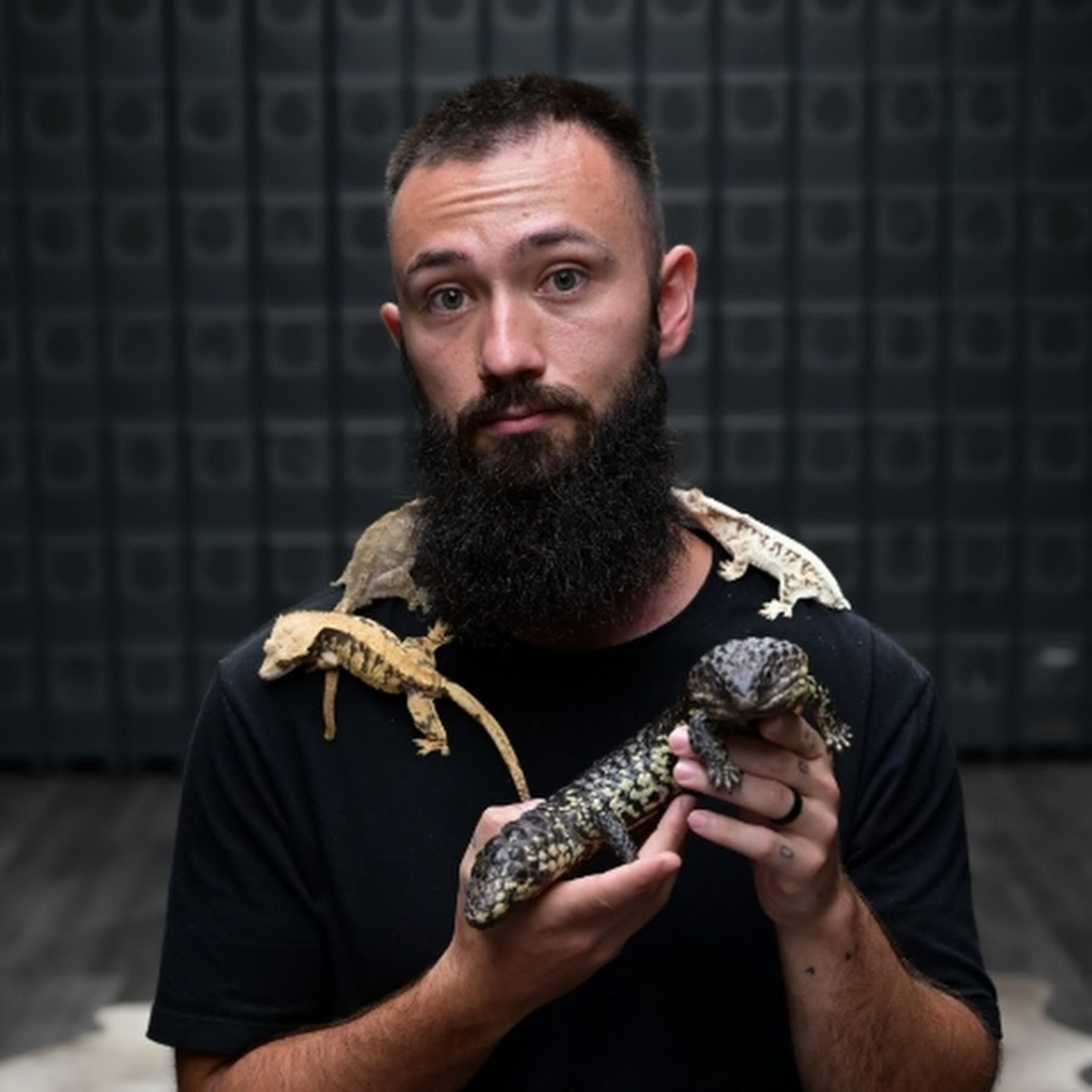 Gecko Photography - Episode 13 - Robby's Reptiles  episode artwork