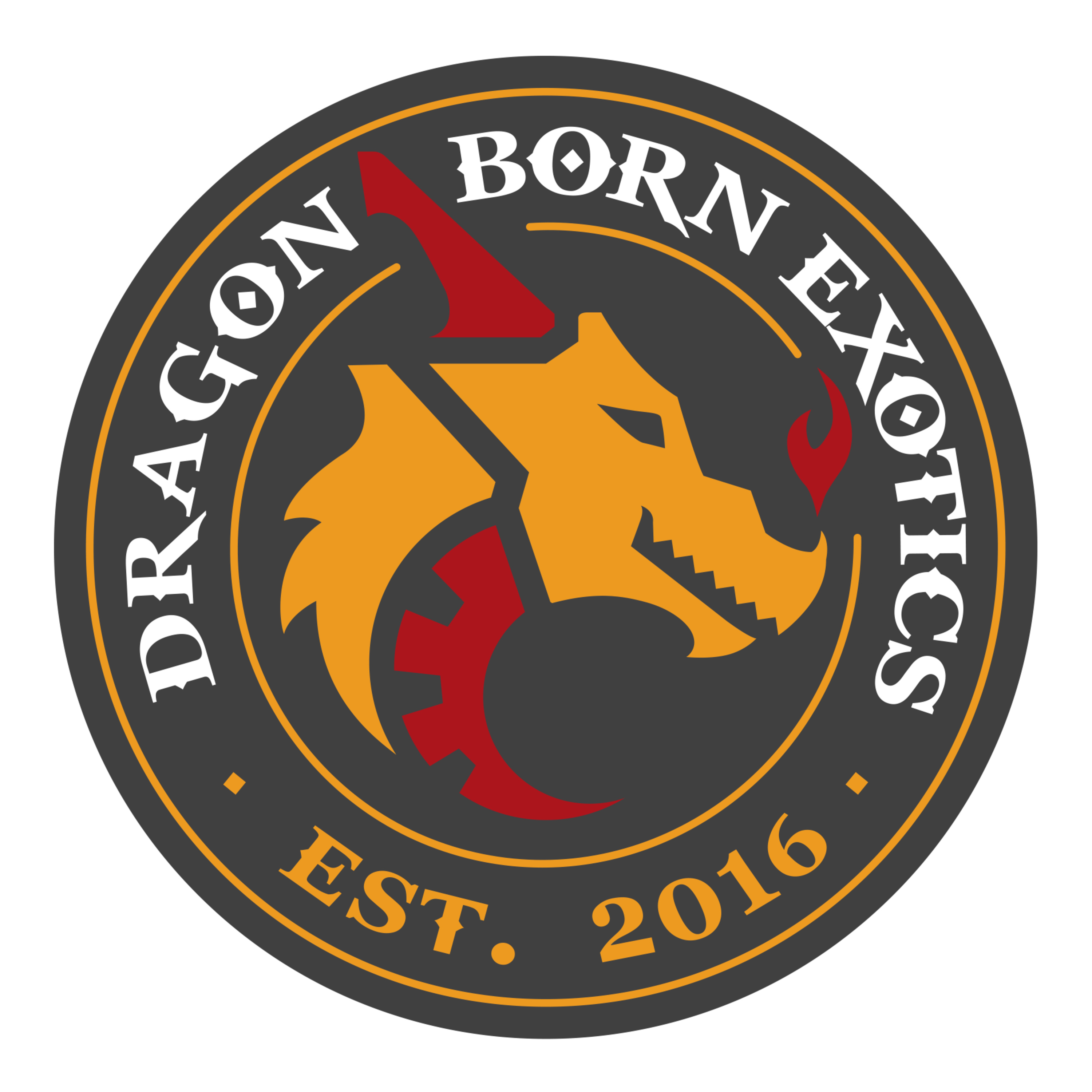 Who Wants A Baby Dragon? - Episode 20- Dragonborn Exotics episode artwork