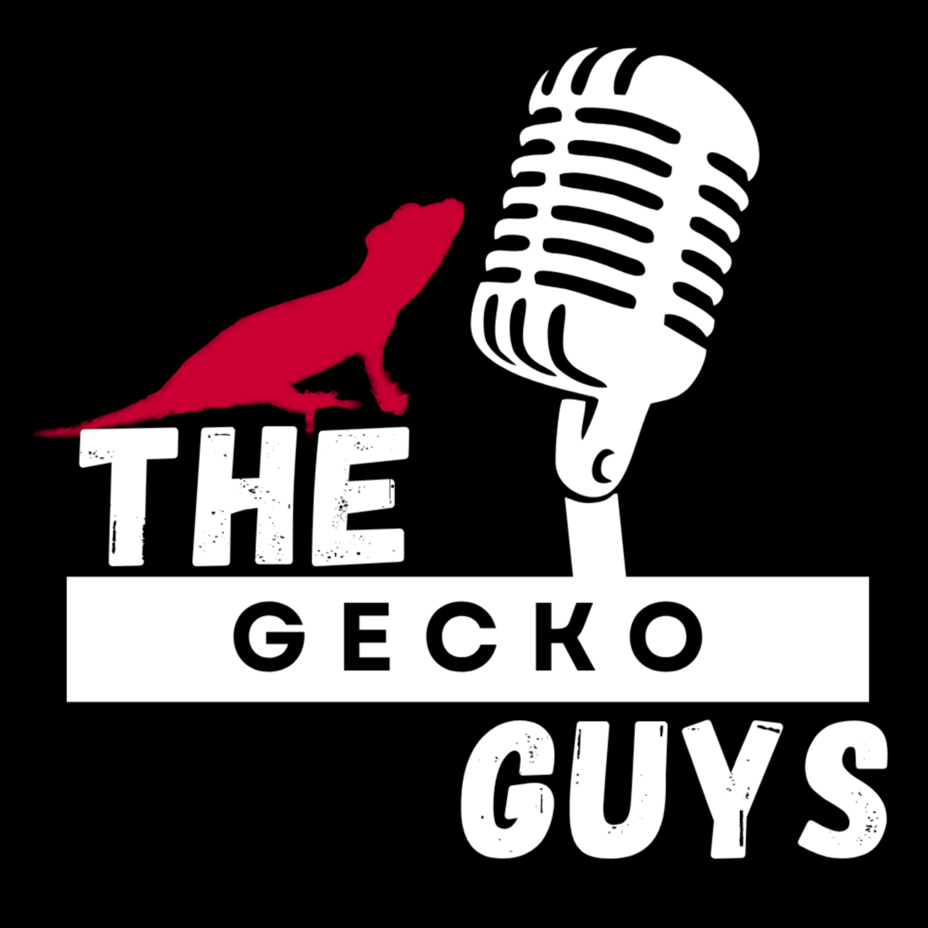 Tinley Recap - Gecko Guys- Episode 11  episode artwork