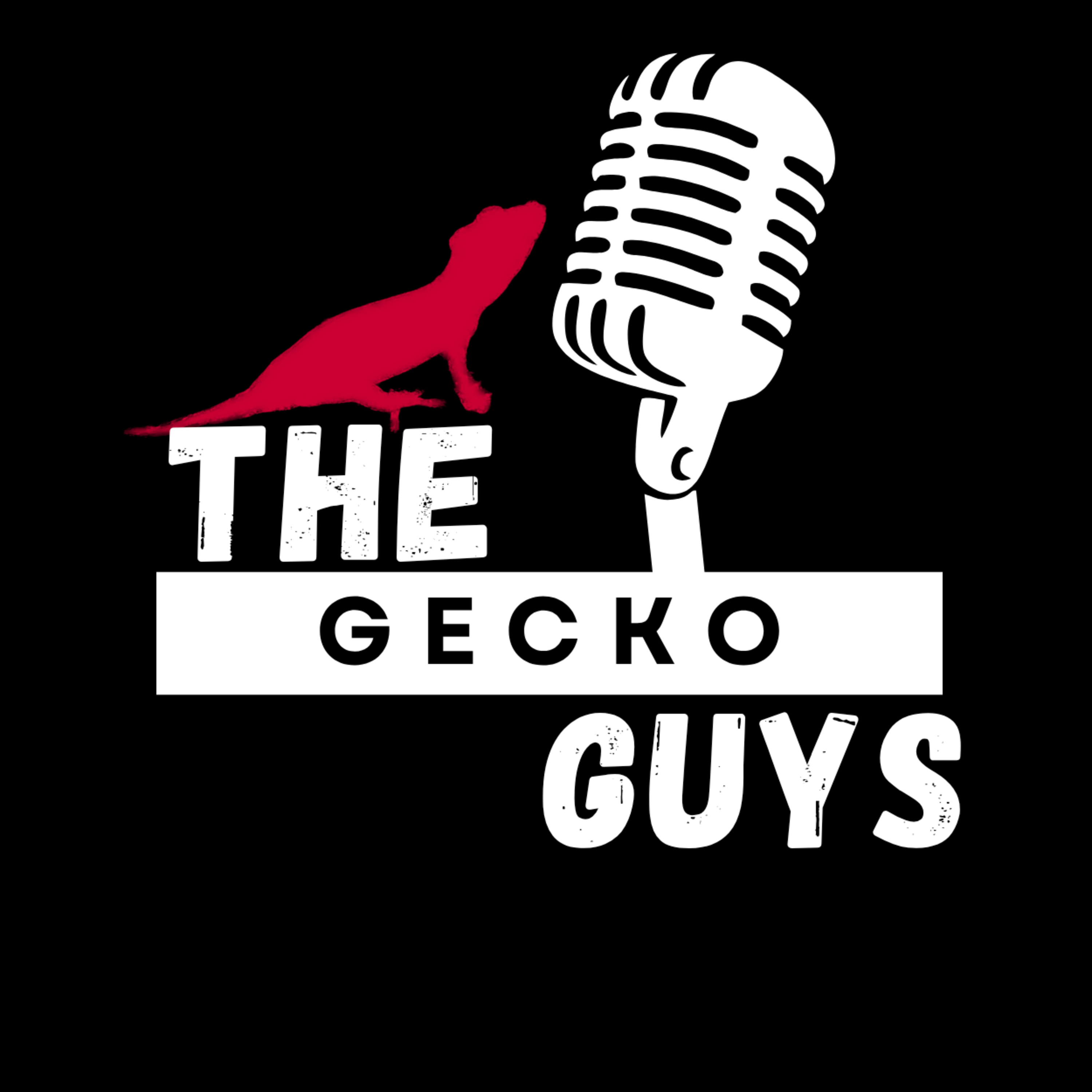 Gecko Project Building - The Gecko Guys - Episode 10 episode artwork