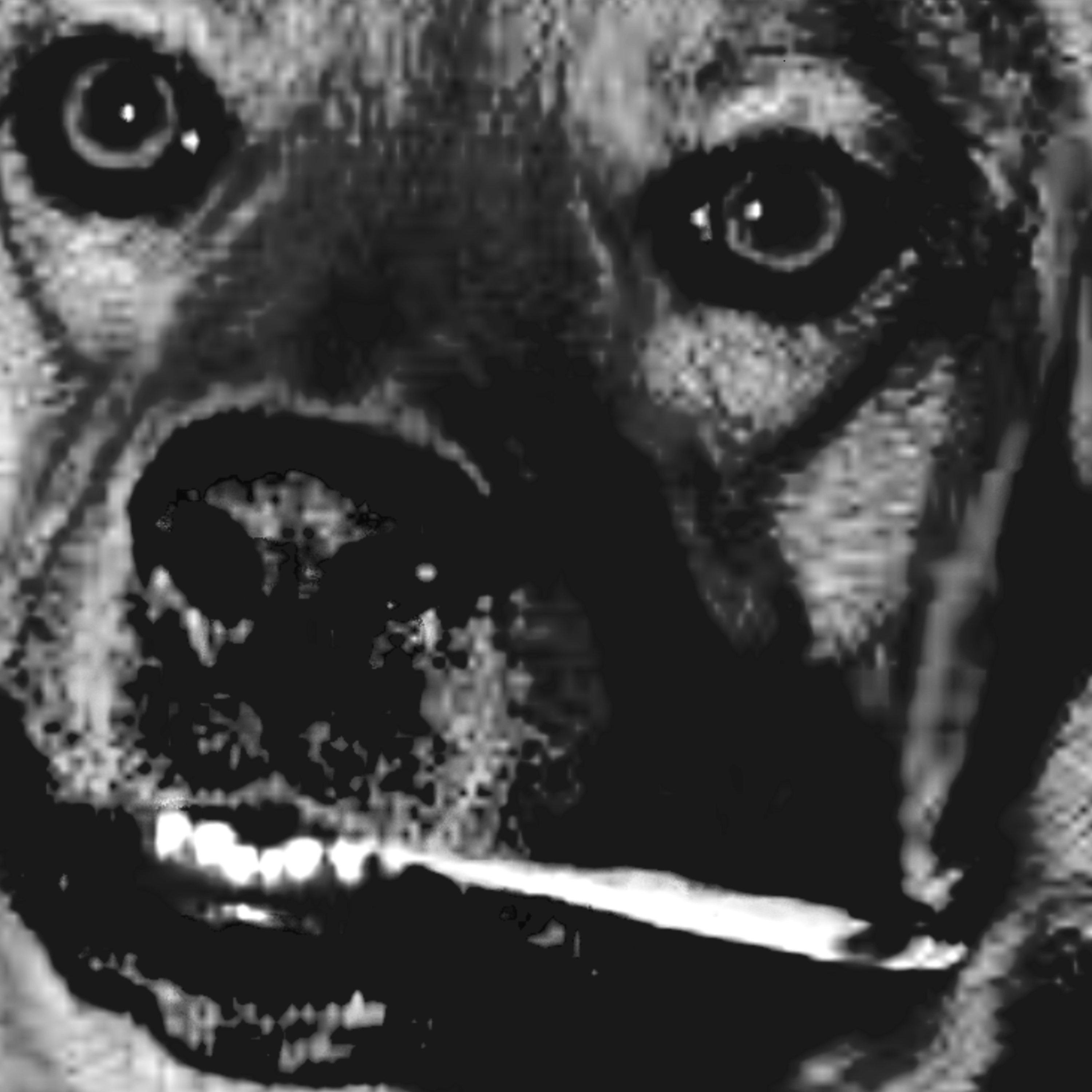 Latin macabre stories and more.